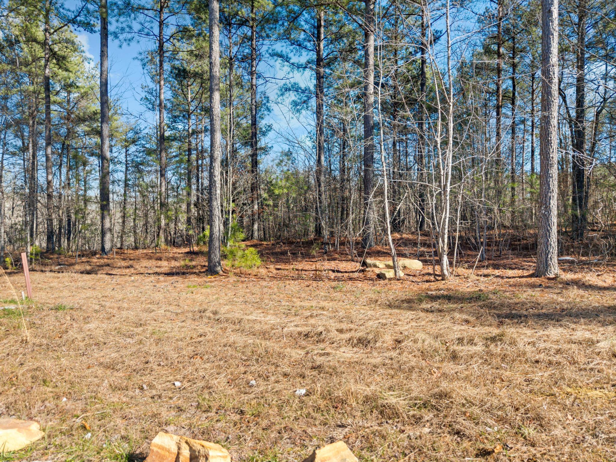 0 Farm Road, Unit 1050 Guild, TN 37340 - Photo 7 of 11 1050 8