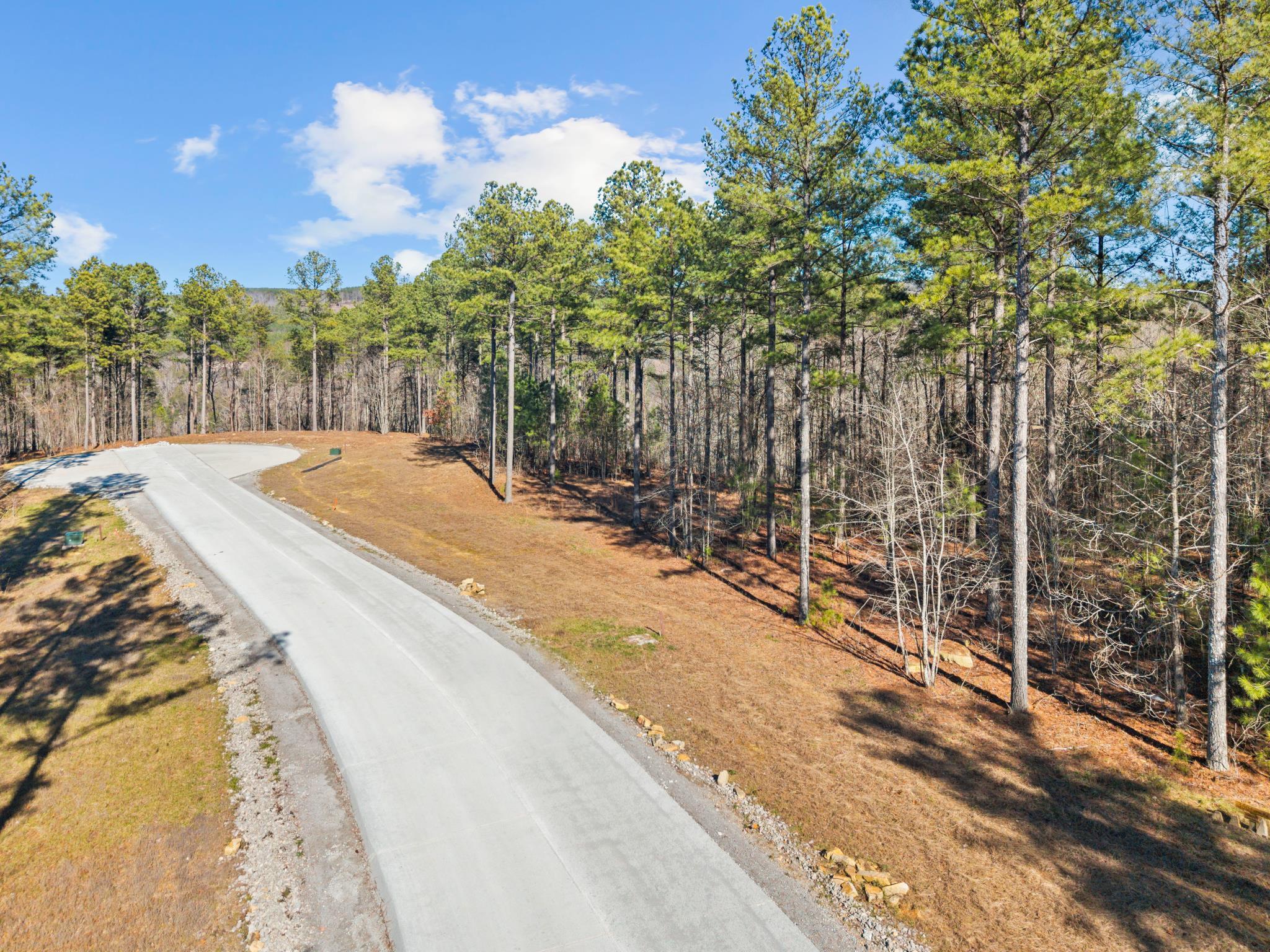 0 Farm Road, Unit 1050 Guild, TN 37340 - Photo 8 of 11 1050 9