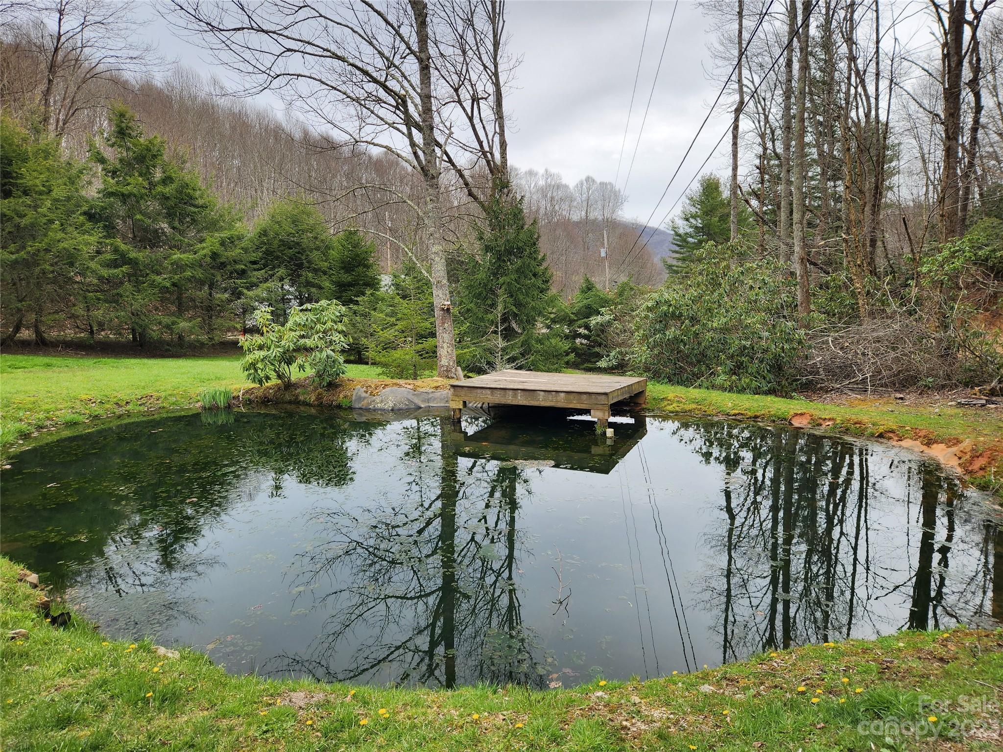 4933 Puncheon Fork Road Mars Hill, NC 28754 - Photo 6 of 33