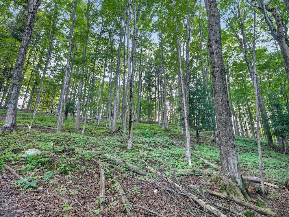 8530 Toad Lake Road Ellsworth, MI 49729 - Photo 45 of 93 081_DSC00191