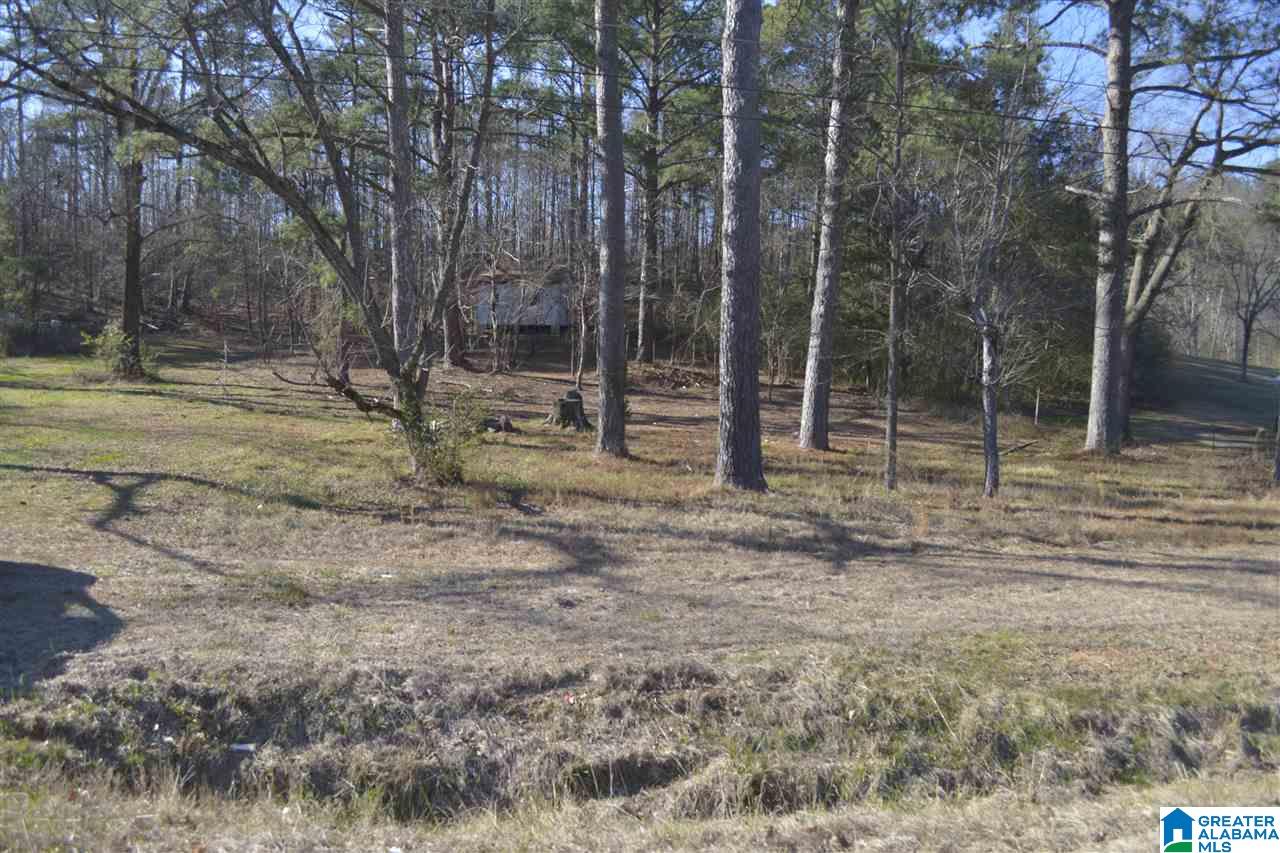 1845 Pelham Road South, Unit VACANT LOT Jacksonville, AL 36265 - Photo 2 of 11