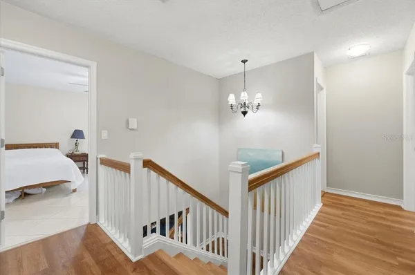 a living room filled with furniture and a potted plant