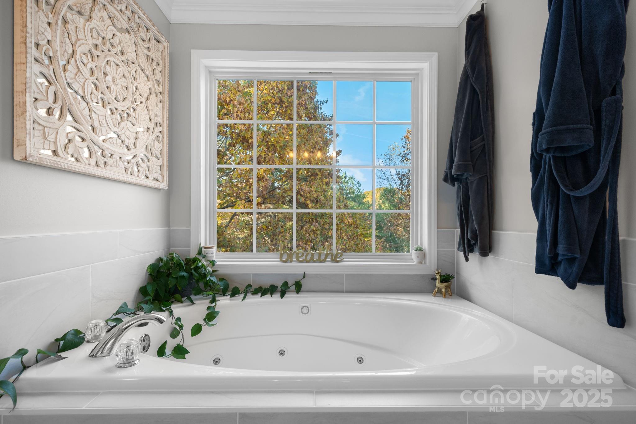 5665 Crown Terrace Hickory, NC 28601 - Photo 30 of 45 a bathroom with a bathtub and a window