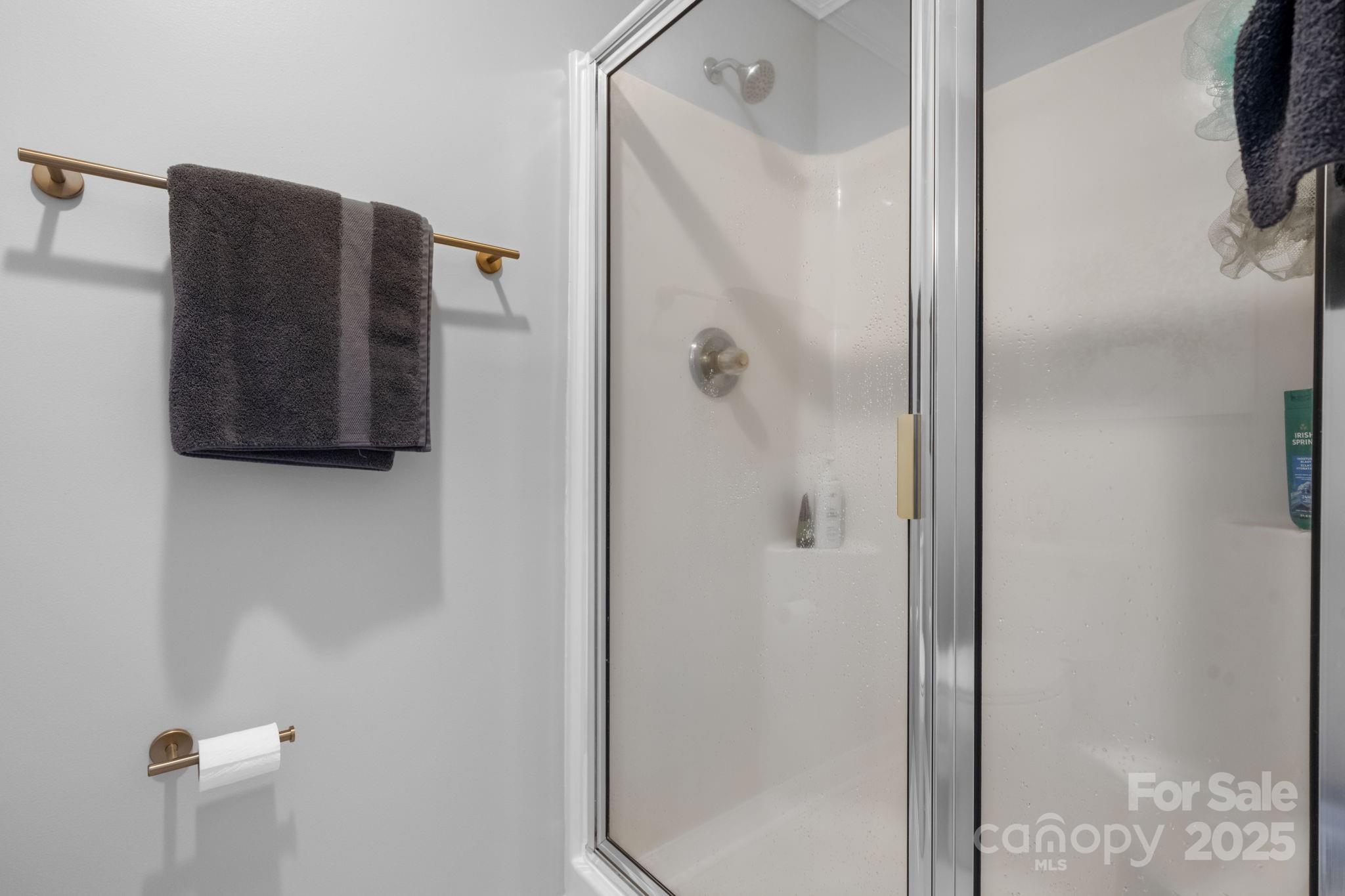 5665 Crown Terrace Hickory, NC 28601 - Photo 31 of 45 a bathroom with a shower and a mirror