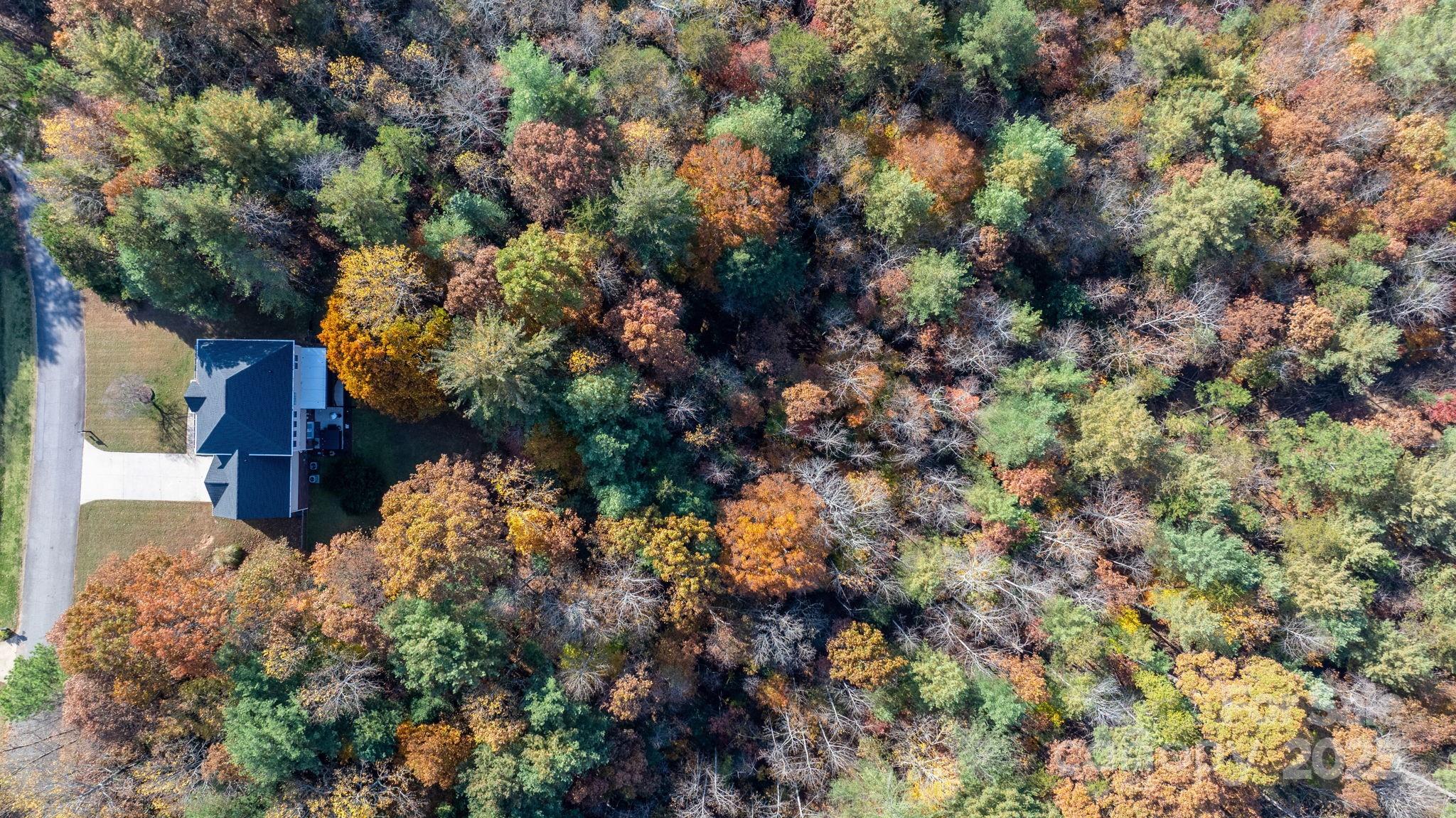 5665 Crown Terrace Hickory, NC 28601 - Photo 8 of 45 a view of a tree in a yard