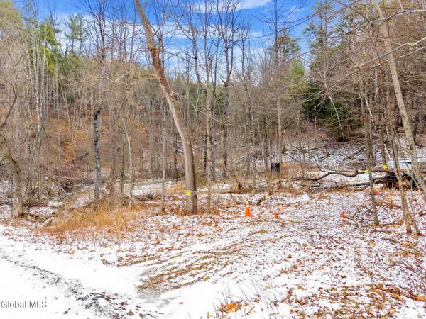 $20,000 | L4 Flat Creek Road, Gilboa, NY 12076
