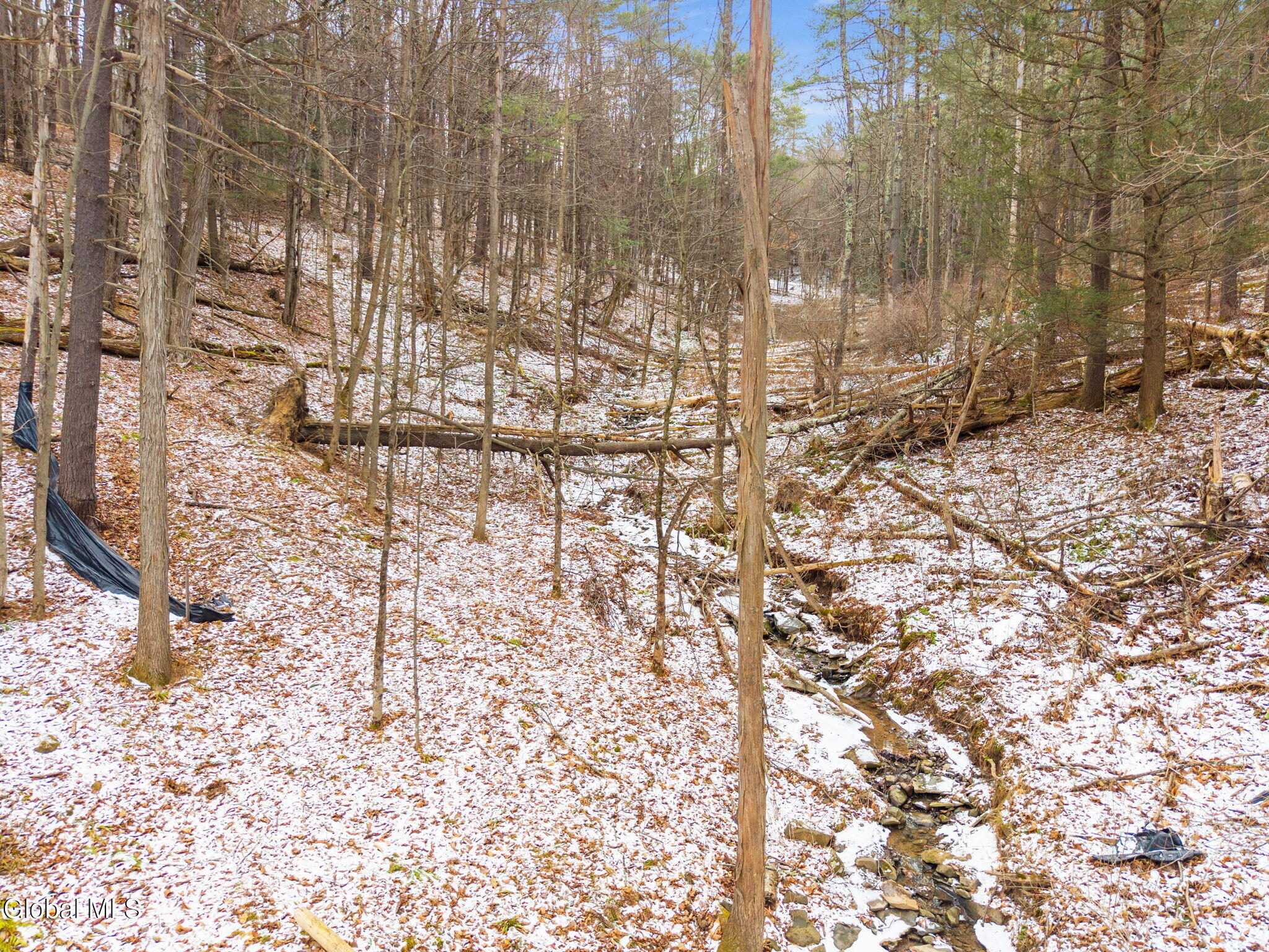 L4 Flat Creek Road Gilboa, NY 12076 - Photo 11 of 16 11-00FlatCreekRd_11