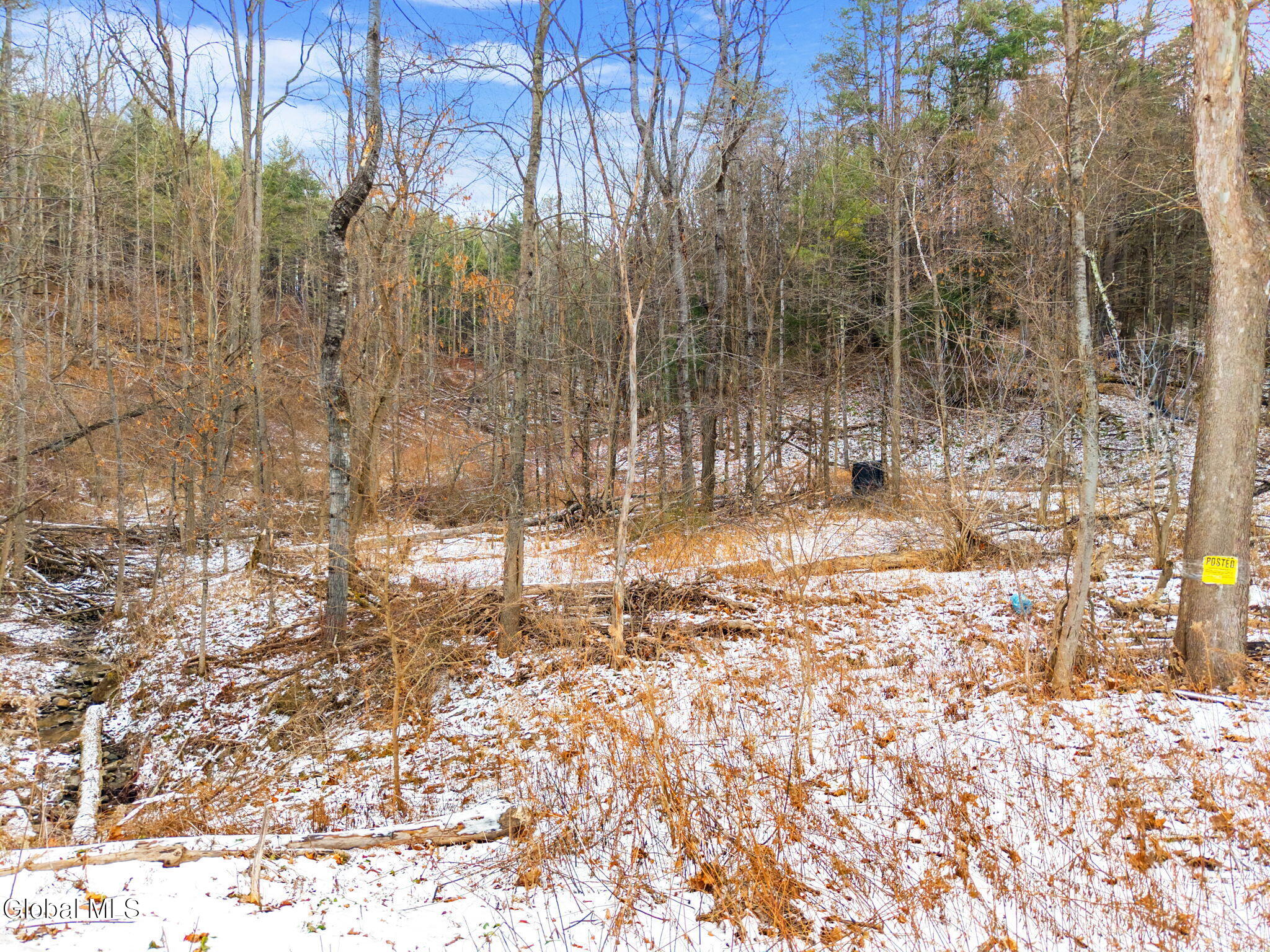L4 Flat Creek Road Gilboa, NY 12076 - Photo 3 of 16 2-00FlatCreekRd_02