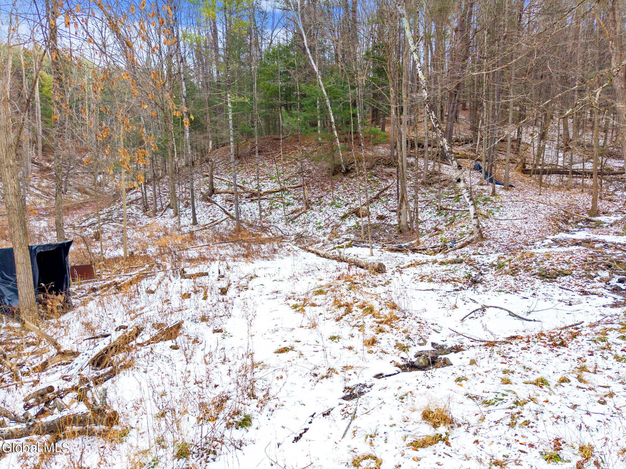 L4 Flat Creek Road Gilboa, NY 12076 - Photo 4 of 16 4-00FlatCreekRd_04