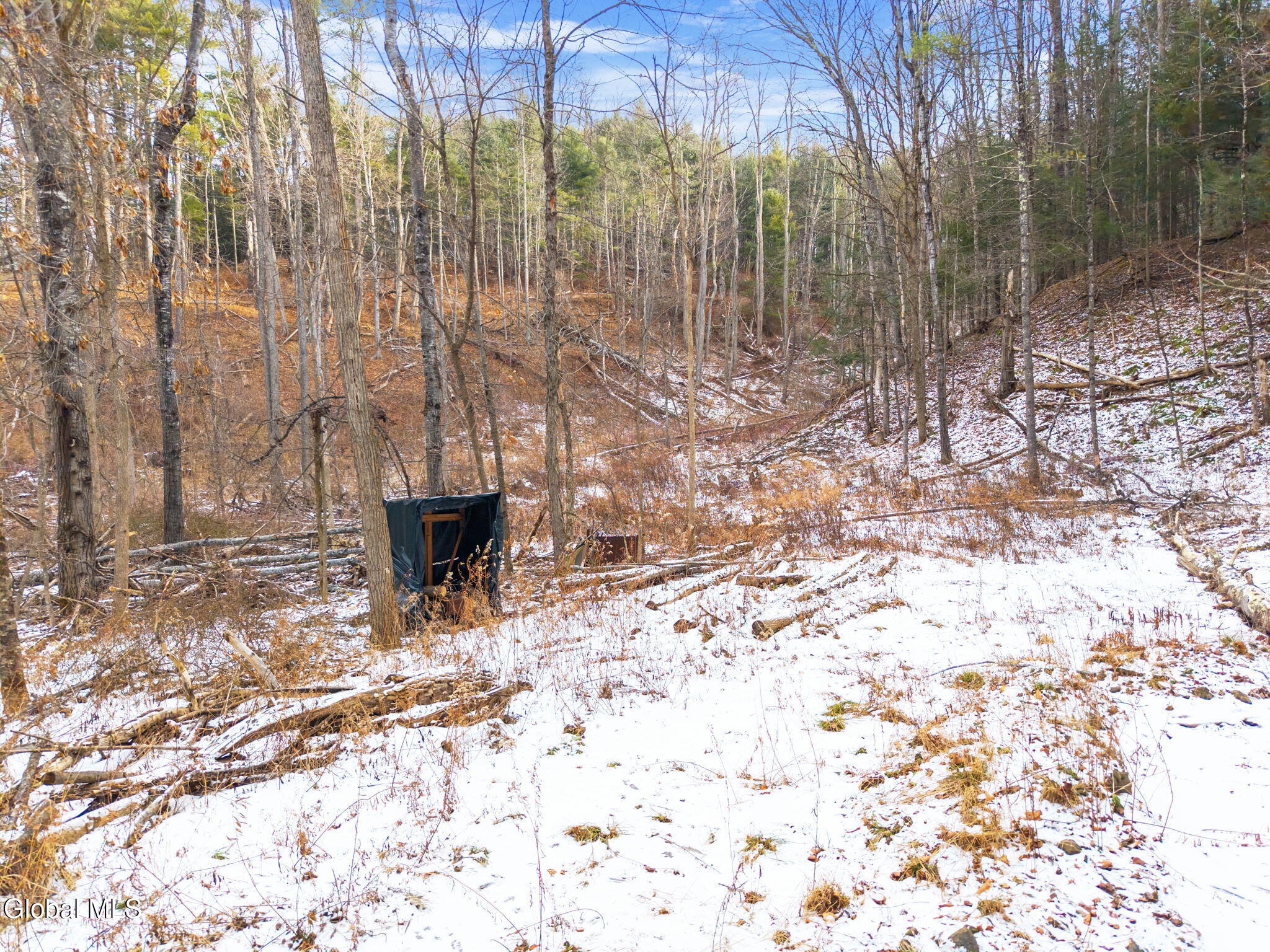 L4 Flat Creek Road Gilboa, NY 12076 - Photo 5 of 16 5-00FlatCreekRd_05
