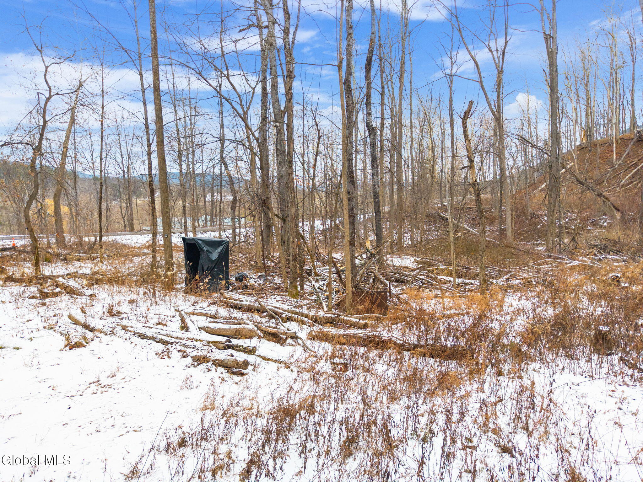 L4 Flat Creek Road Gilboa, NY 12076 - Photo 6 of 16 6-00FlatCreekRd_06