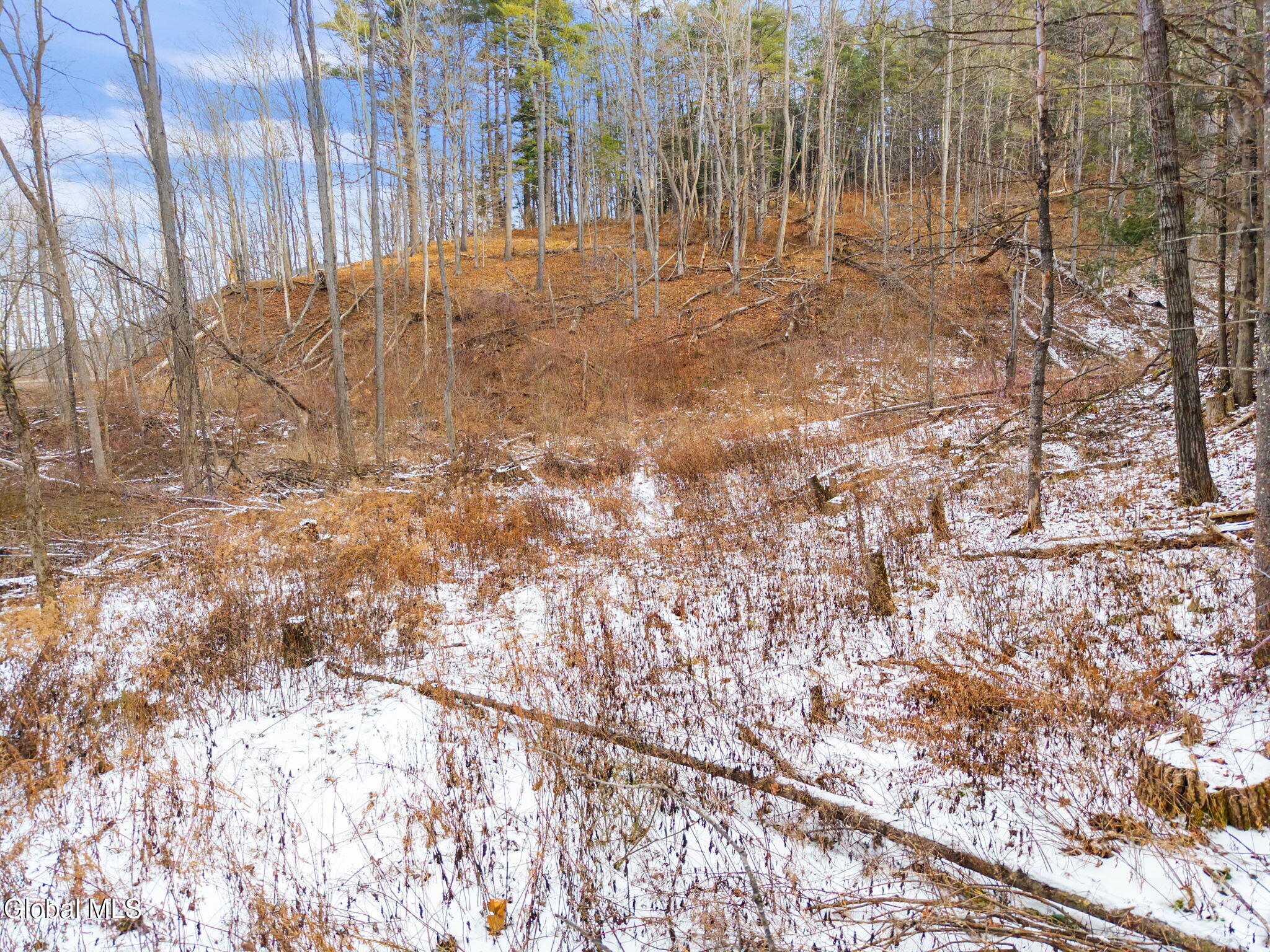 L4 Flat Creek Road Gilboa, NY 12076 - Photo 7 of 16 7-00FlatCreekRd_07