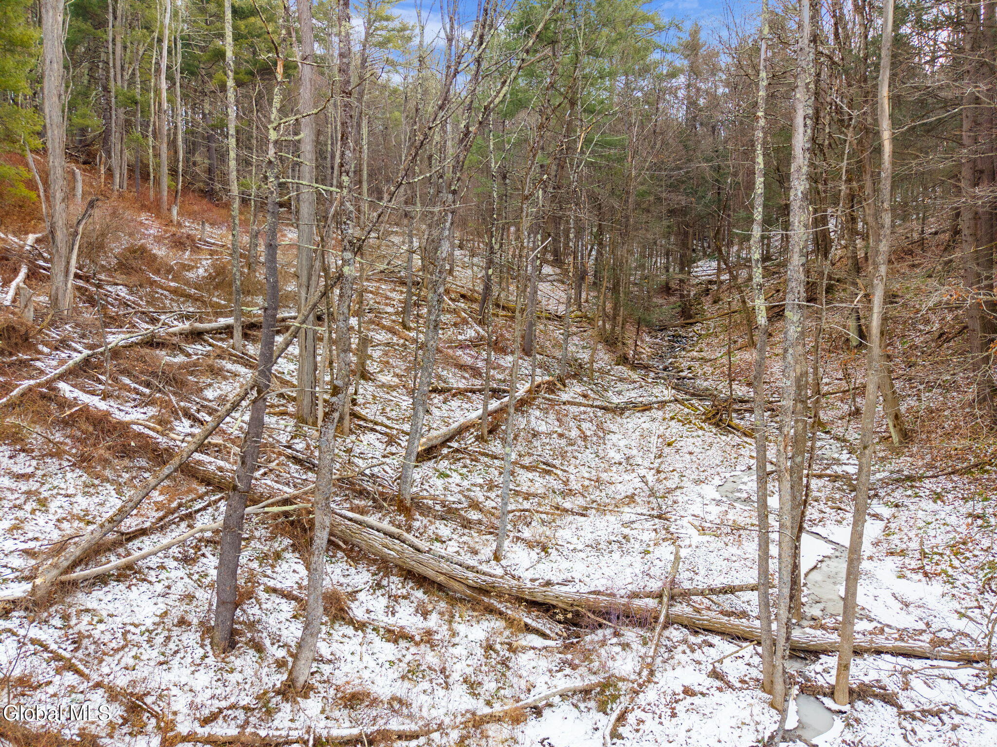 L4 Flat Creek Road Gilboa, NY 12076 - Photo 8 of 16 8-00FlatCreekRd_08