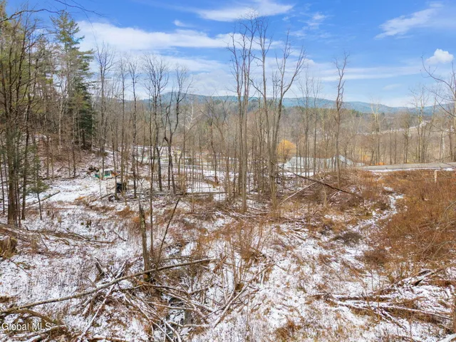 $20,000 | L4 Flat Creek Road, Gilboa, NY 12076