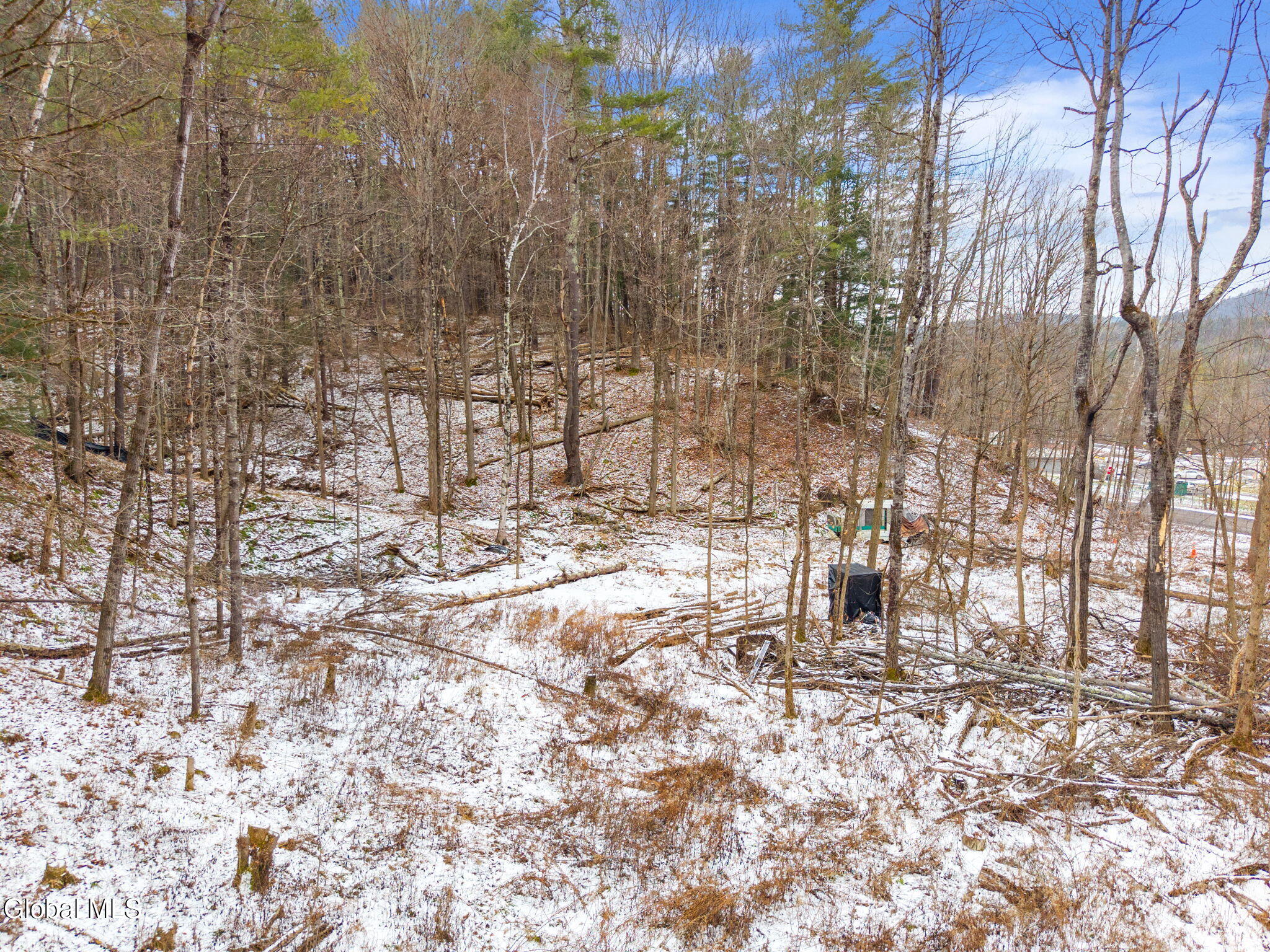L4 Flat Creek Road Gilboa, NY 12076 - Photo 10 of 16 10-00FlatCreekRd_10