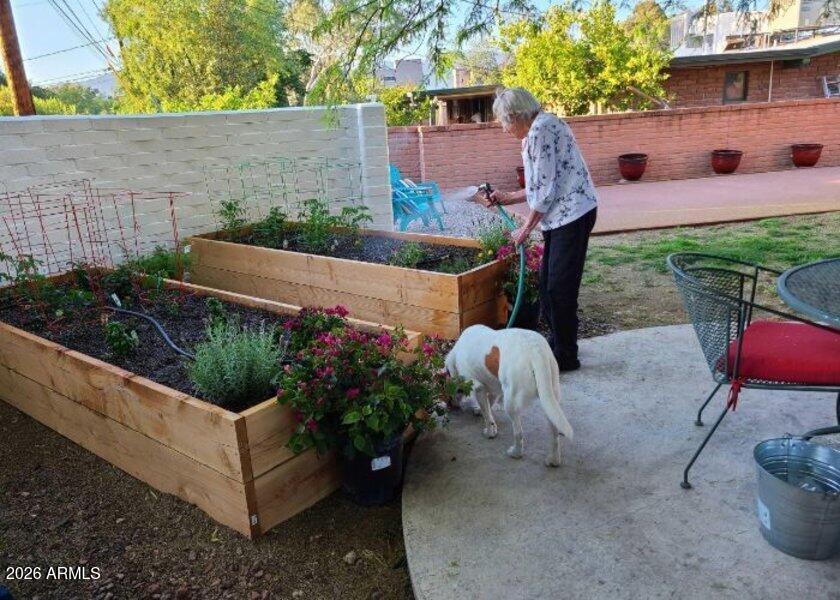 113 North Avenida De San Ramon Tucson, AZ 85710 - Photo 2 of 8 900x600-6