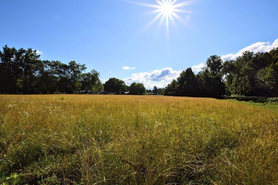 4.4-acres Ideal Valley Road Spring City, TN 37381 - Photo 1 of 10 20193420