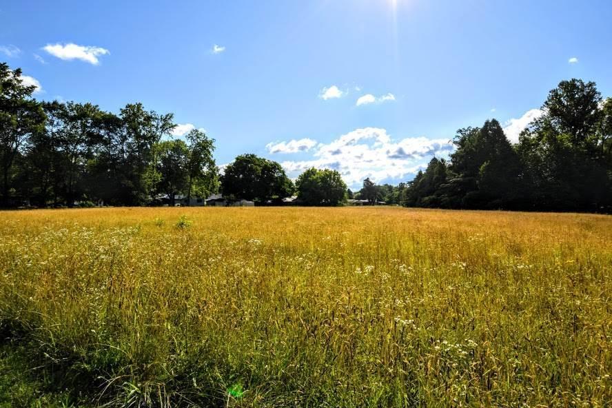 4.4-acres Ideal Valley Road Spring City, TN 37381 - Photo 3 of 10 20193420-2