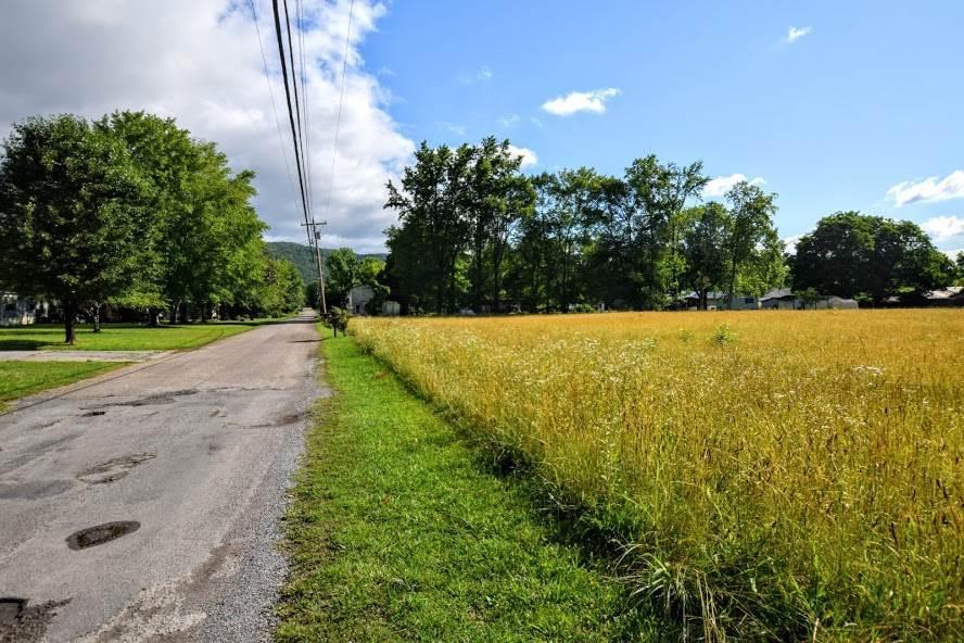 4.4-acres Ideal Valley Road Spring City, TN 37381 - Photo 4 of 10 20193420-3