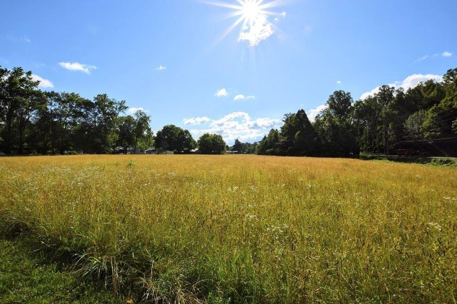 4.4-acres Ideal Valley Road Spring City, TN 37381 - Photo 5 of 10 20193420-4