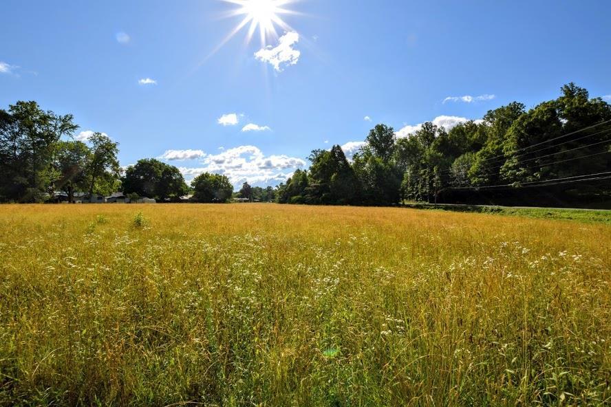 4.4-acres Ideal Valley Road Spring City, TN 37381 - Photo 6 of 10 20193420-5