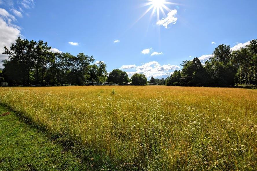 4.4-acres Ideal Valley Road Spring City, TN 37381 - Photo 7 of 10 20193420-6