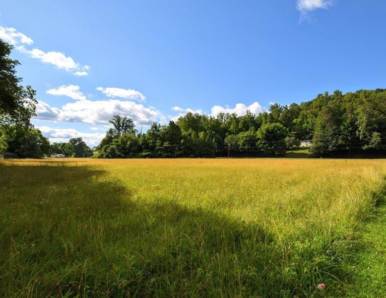 4.4-acres Ideal Valley Road Spring City, TN 37381 - Photo 9 of 10 20193420-8