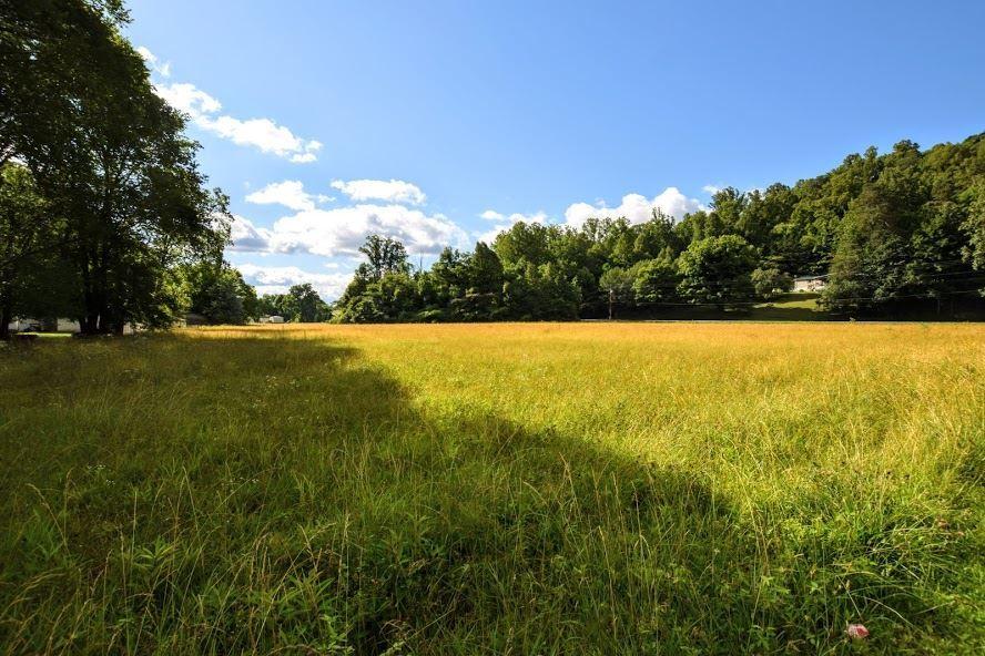 4.4-acres Ideal Valley Road Spring City, TN 37381 - Photo 10 of 10 20193420-9