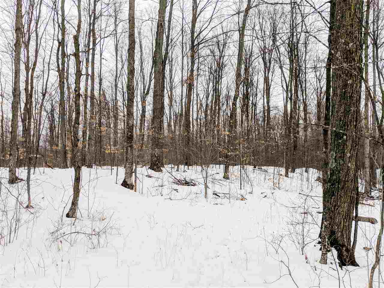 6690 Packingham Road Manton, MI 49663 - Photo 23 of 26 1856415-23.JPG