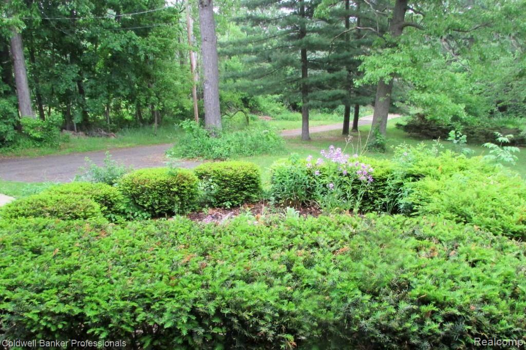 1885 Porter Road White Lake, MI 48383 - Photo 5 of 42 IMG_6500.jpg