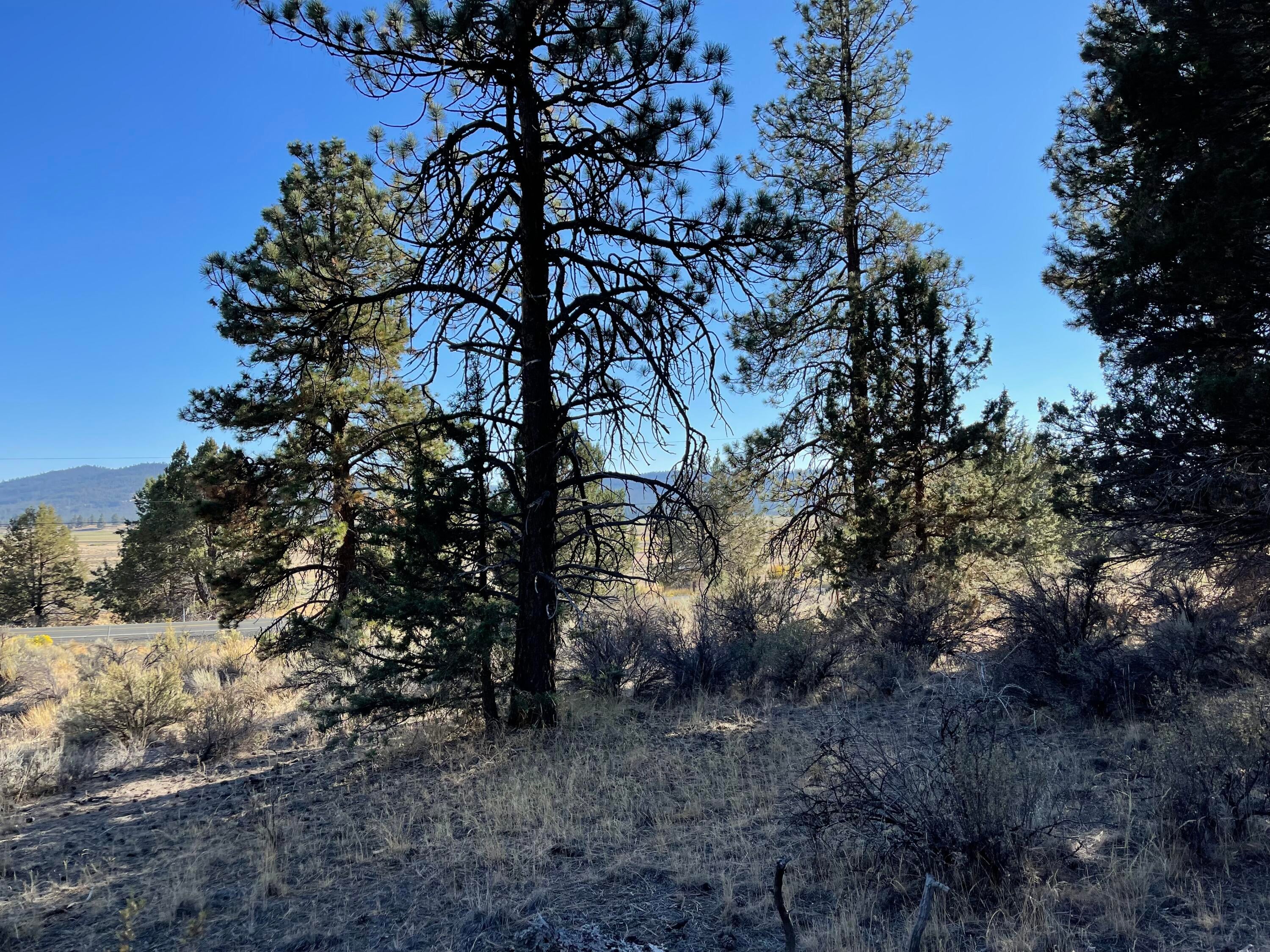 Drews Road Chiloquin, OR 97624 - Photo 2 of 18 IMG_5800