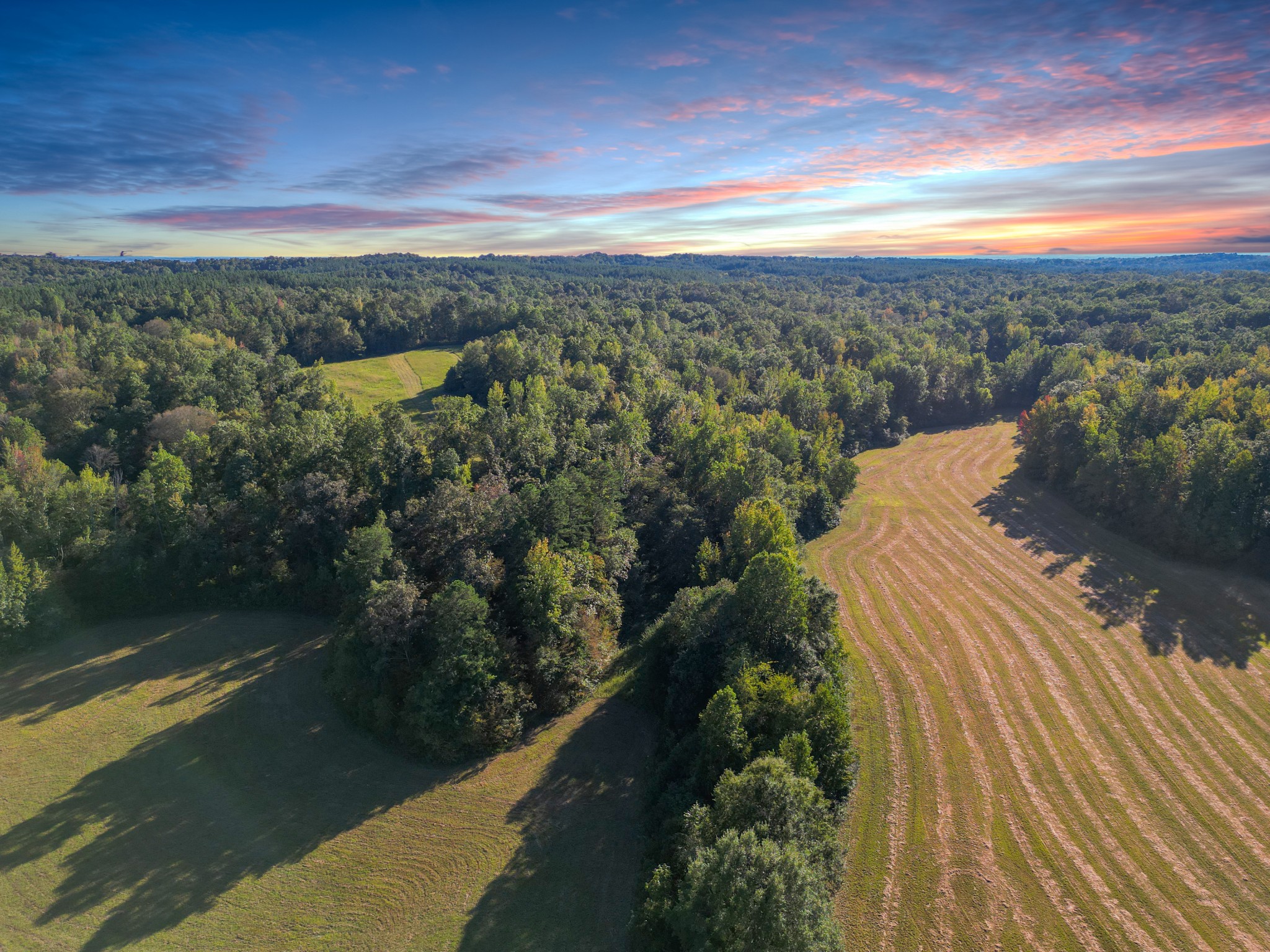 a view of a city from a lake