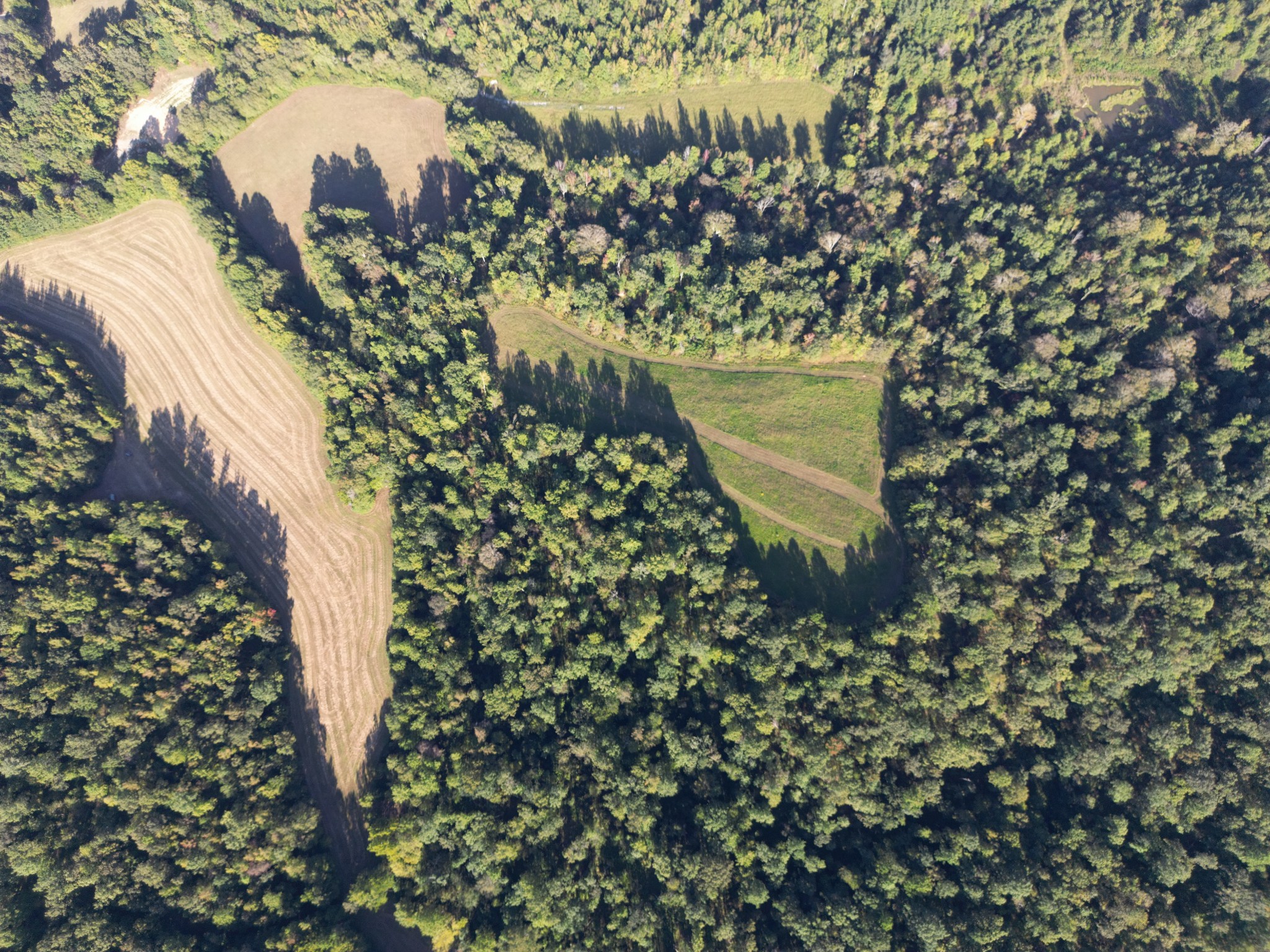 3085 Forrest Hill Road Bolivar, TN 38008 - Photo 12 of 18 a plant view