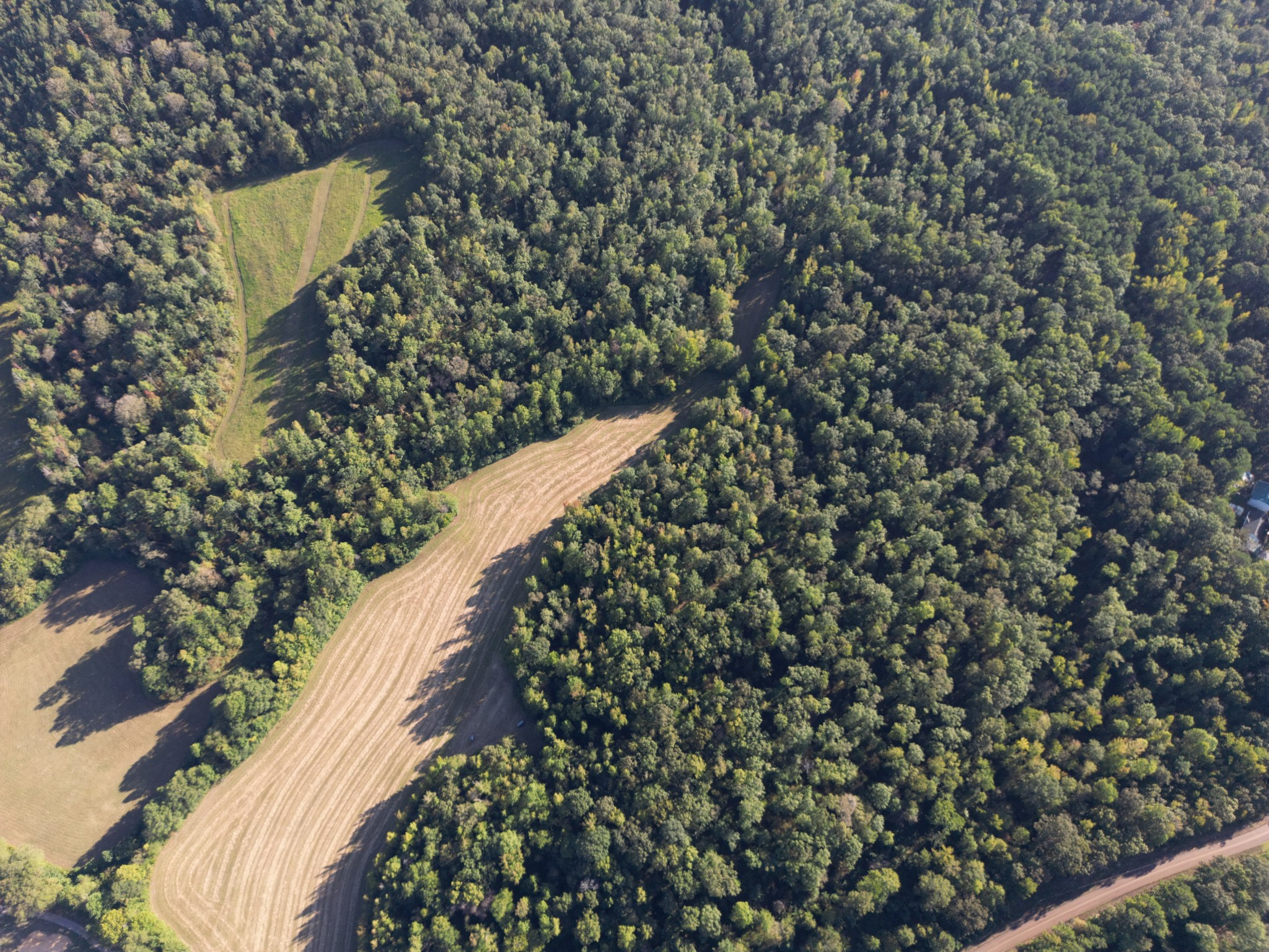 3085 Forrest Hill Road Bolivar, TN 38008 - Photo 13 of 18