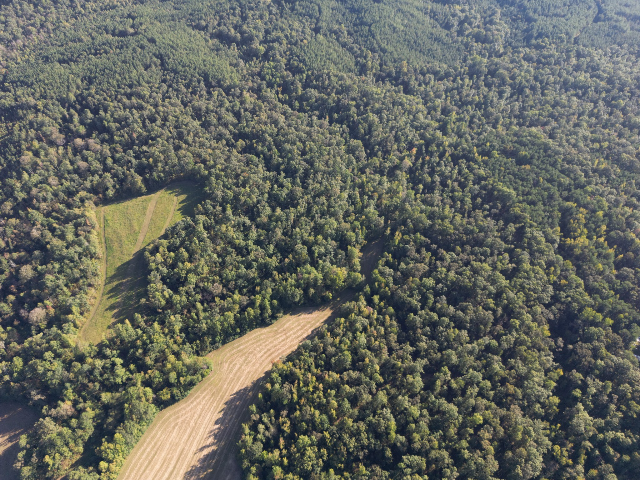 3085 Forrest Hill Road Bolivar, TN 38008 - Photo 14 of 18 a view of electric and green space