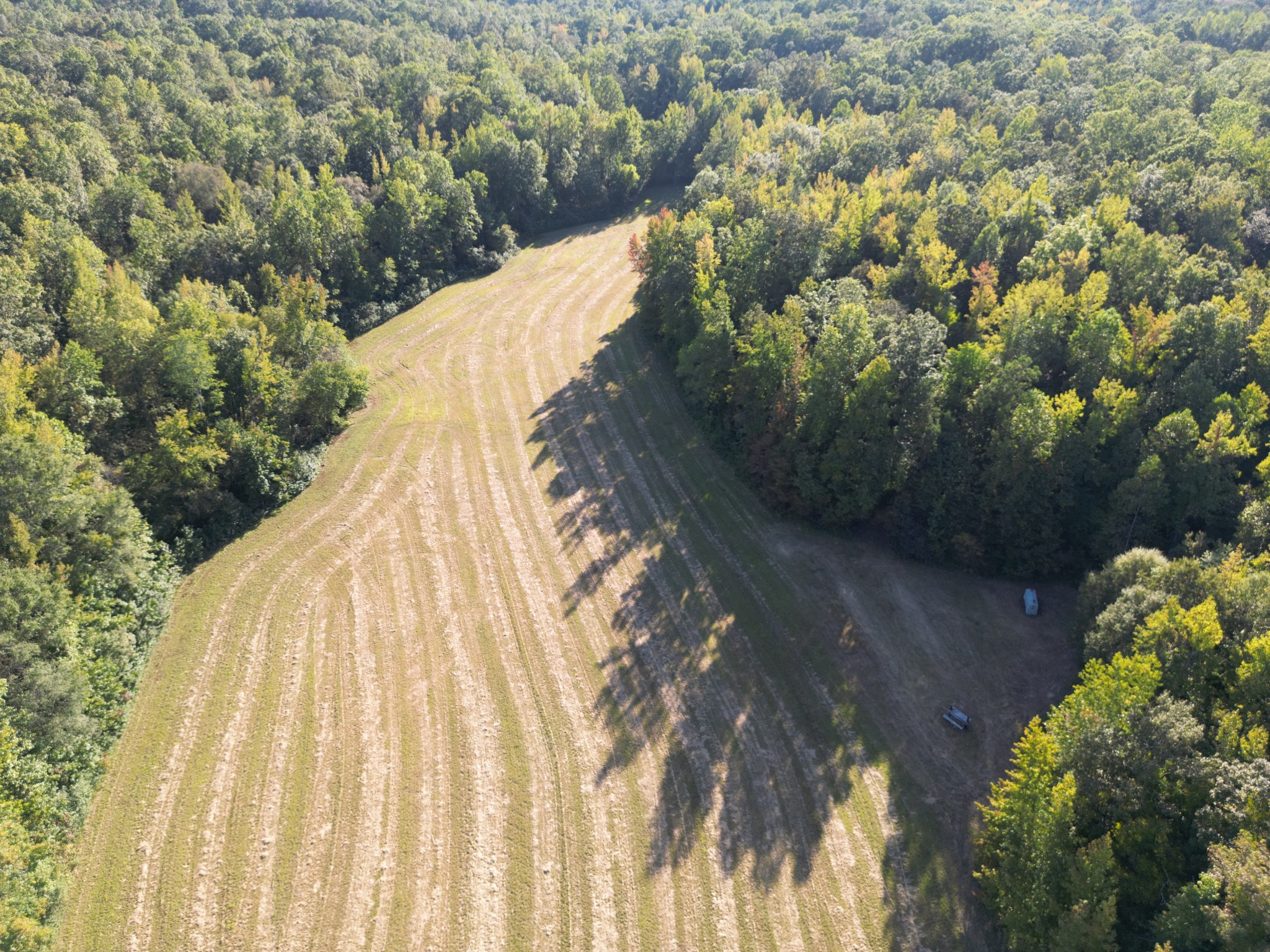 3085 Forrest Hill Road Bolivar, TN 38008 - Photo 15 of 18 a view of backyard with green space