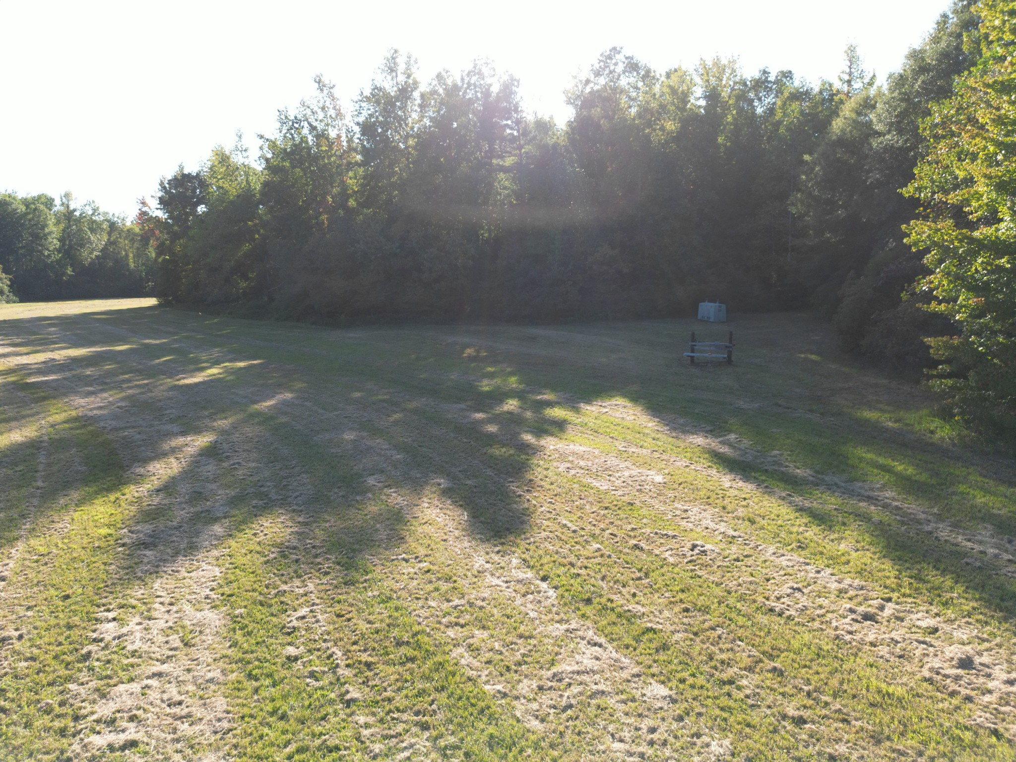 3085 Forrest Hill Road Bolivar, TN 38008 - Photo 16 of 18 a view of a yard