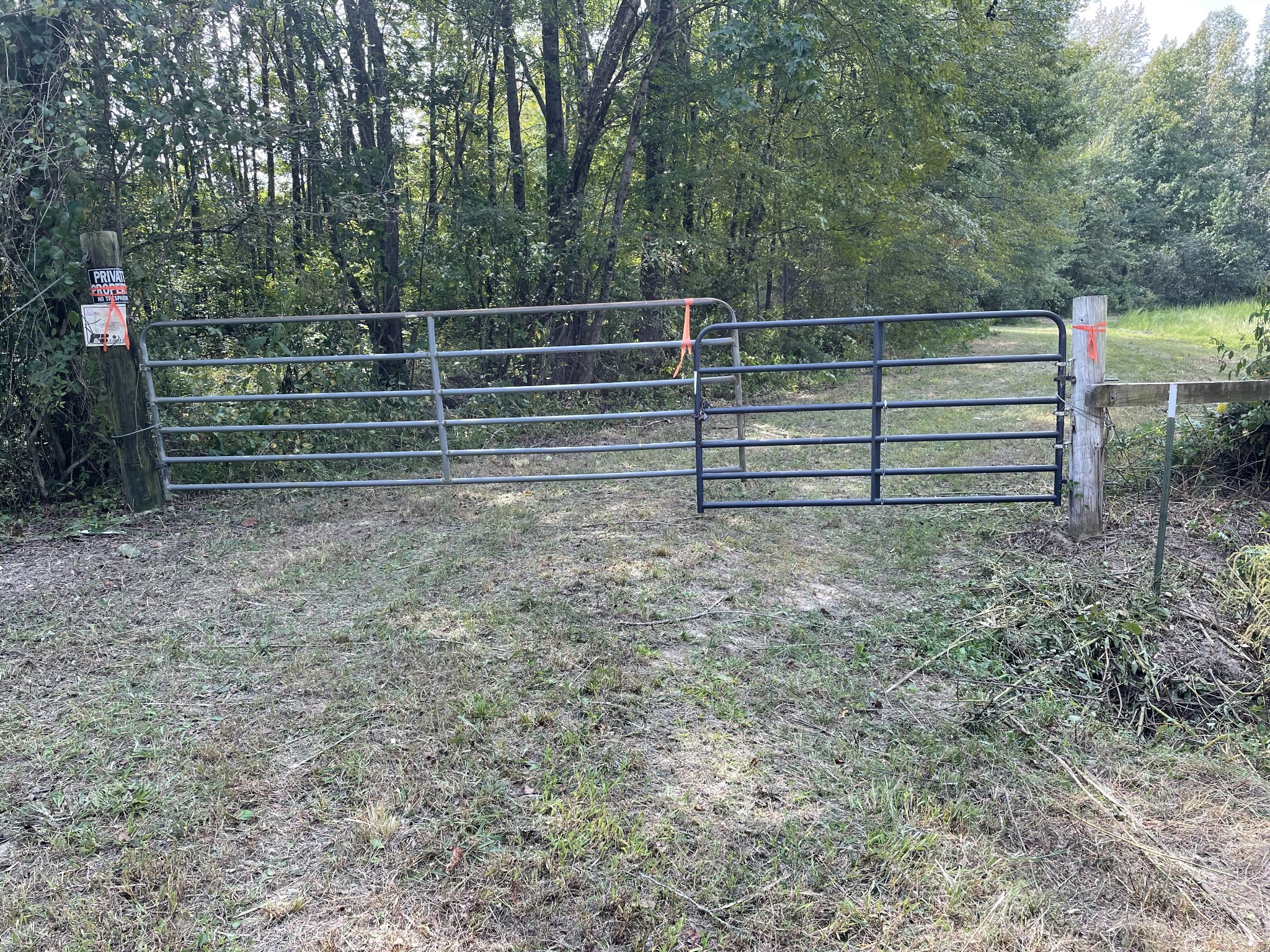 3085 Forrest Hill Road Bolivar, TN 38008 - Photo 18 of 18 a view of outdoor space and yard