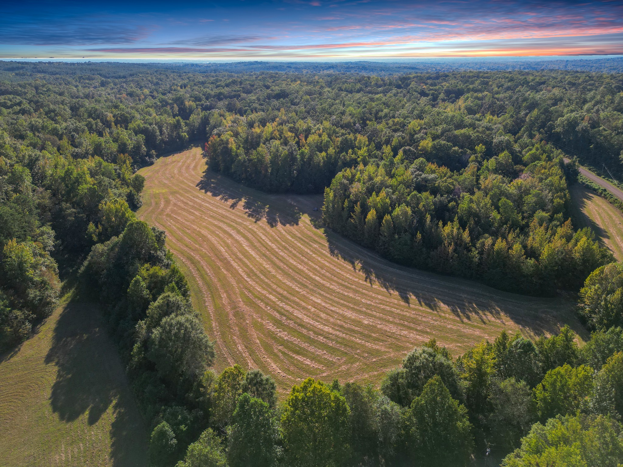 3085 Forrest Hill Road Bolivar, TN 38008 - Photo 2 of 18 a view of a city