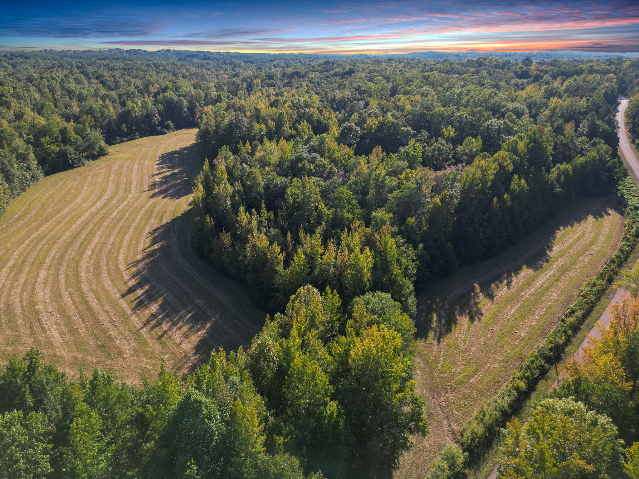 3085 Forrest Hill Road Bolivar, TN 38008 - Photo 3 of 18 a view of a lake from a balcony