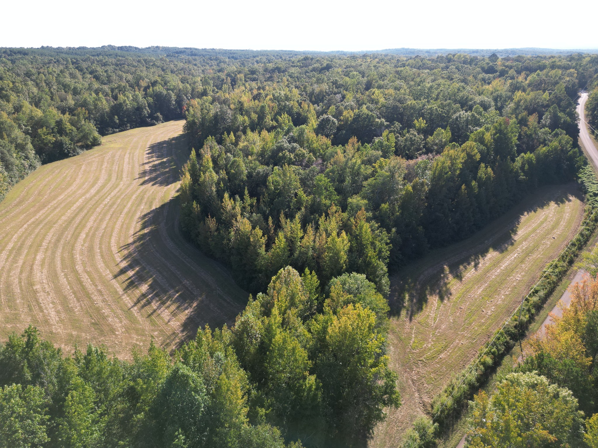 3085 Forrest Hill Road Bolivar, TN 38008 - Photo 4 of 18 a view of a lake in middle of the green