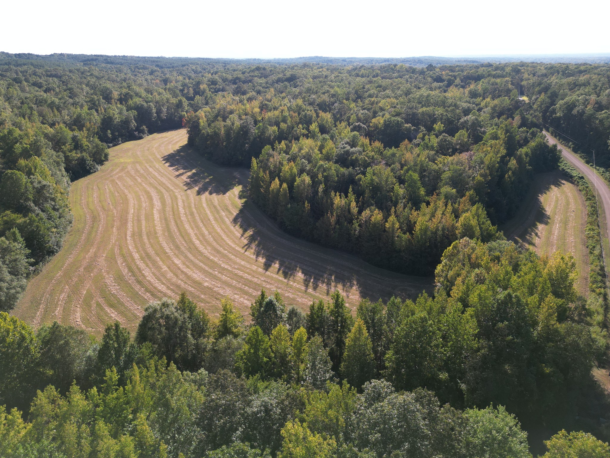 3085 Forrest Hill Road Bolivar, TN 38008 - Photo 5 of 18 a view of a yard