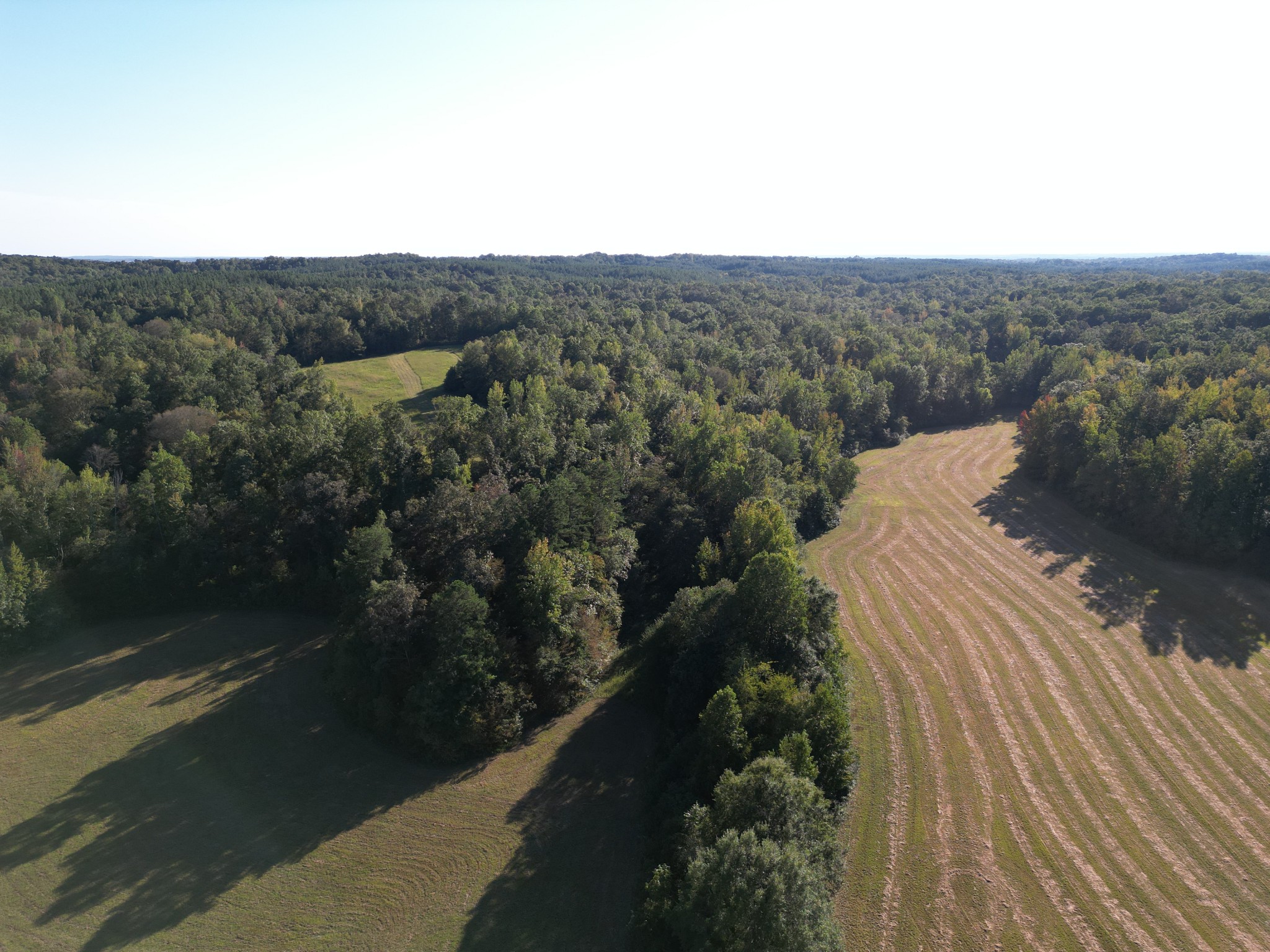 3085 Forrest Hill Road Bolivar, TN 38008 - Photo 6 of 18 a view of a city from a balcony