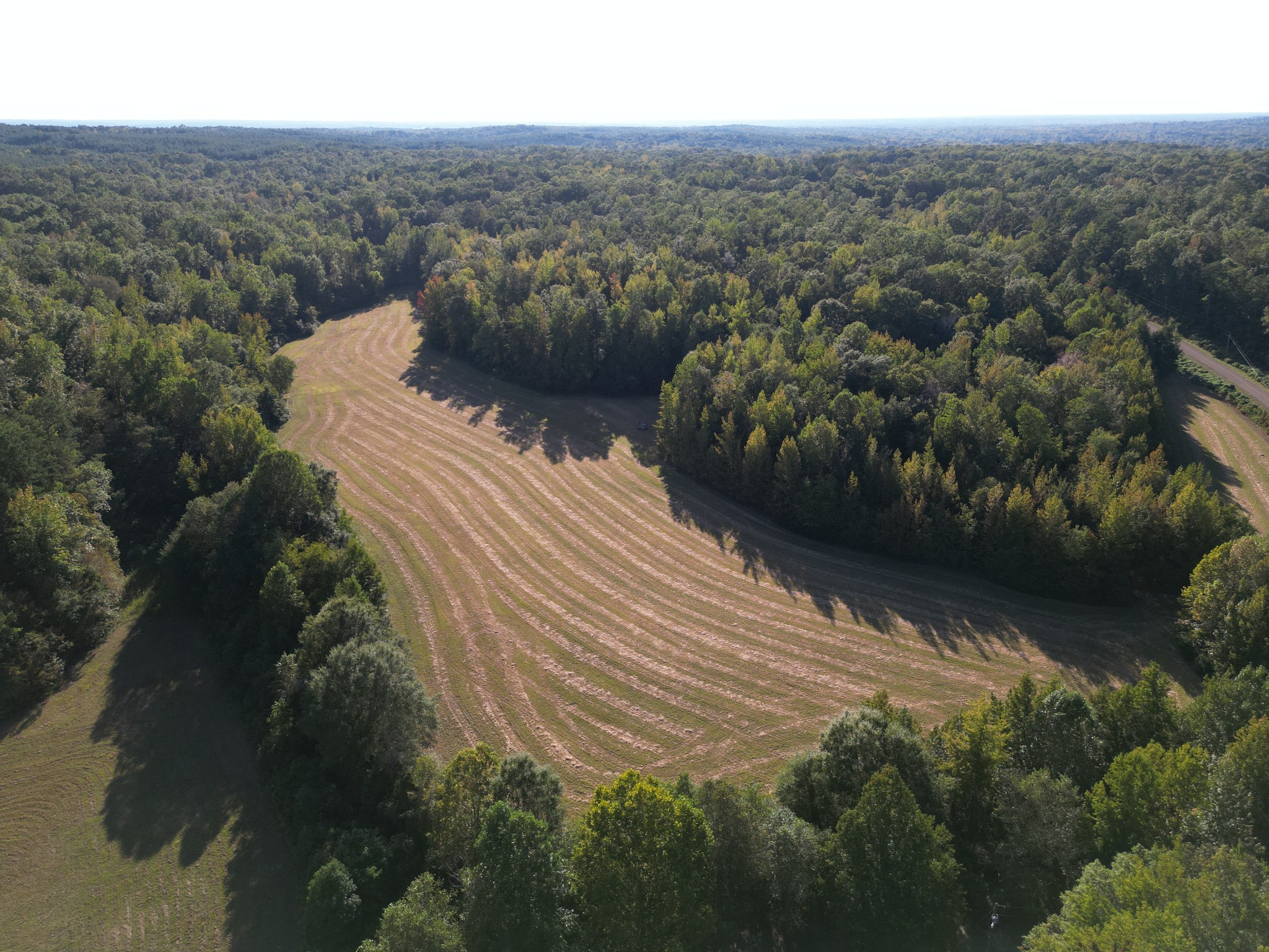 3085 Forrest Hill Road Bolivar, TN 38008 - Photo 7 of 18 a view of a city and mountain