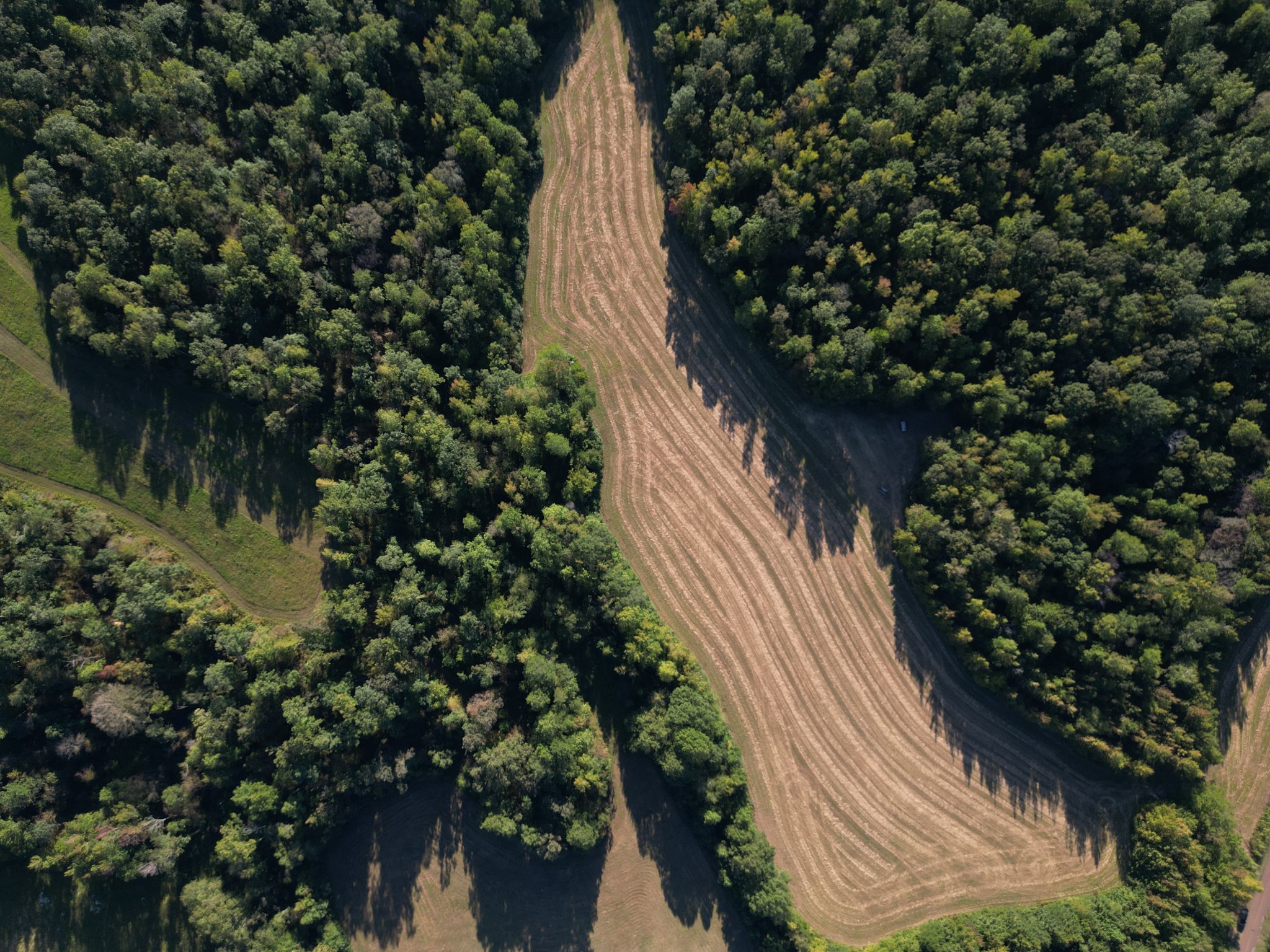 3085 Forrest Hill Road Bolivar, TN 38008 - Photo 8 of 18 a view of flowers in the garden