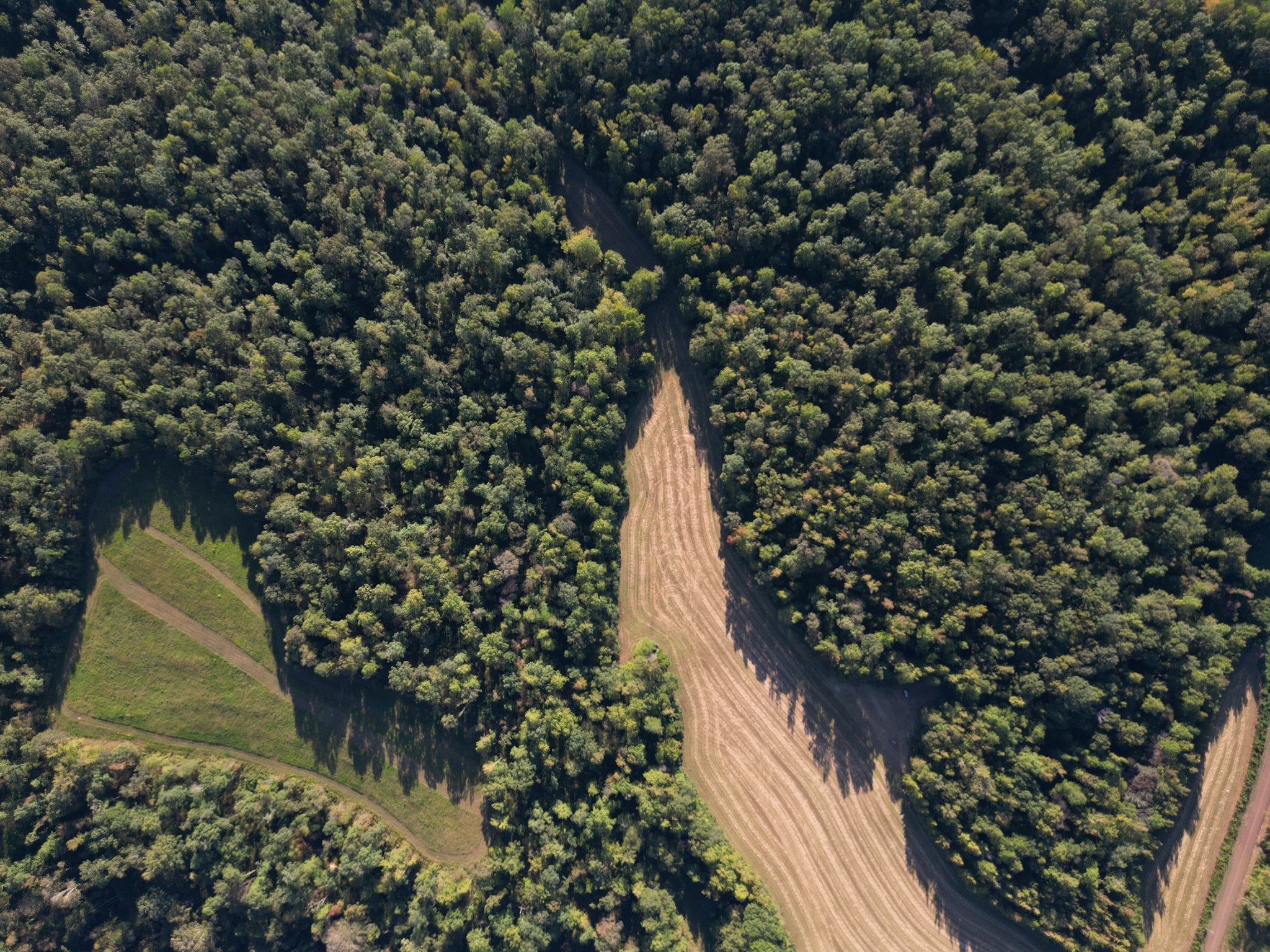 3085 Forrest Hill Road Bolivar, TN 38008 - Photo 9 of 18 a view of entryway