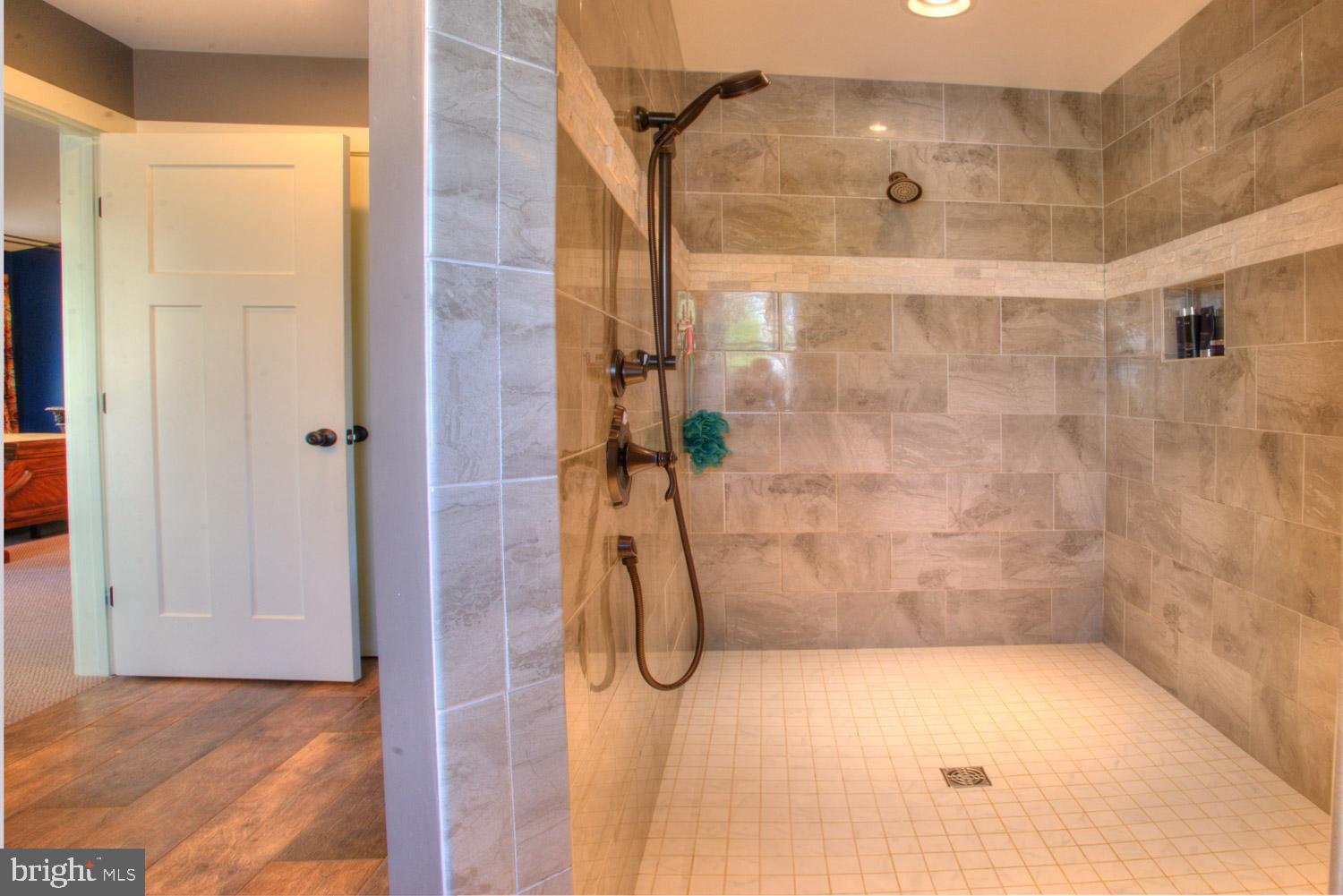 117 Chestnut Street Lititz, PA 17543 - Photo 31 of 49 Beautiful walk-in shower with quartz accent.
