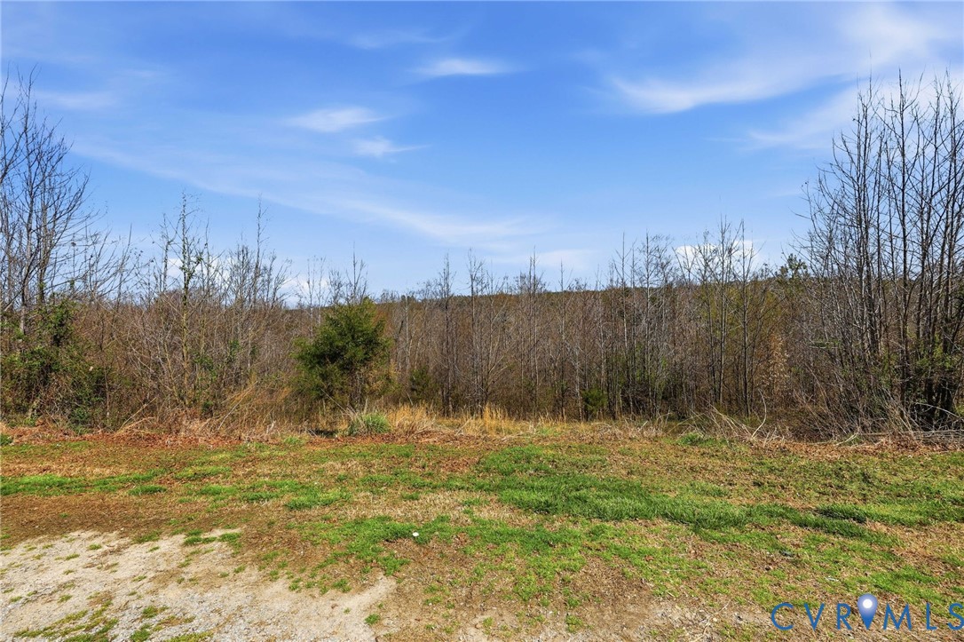 484 Dobbins Bridge Road Blackstone, VA 23824 - Photo 13 of 63