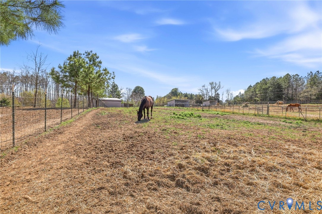 484 Dobbins Bridge Road Blackstone, VA 23824 - Photo 19 of 63