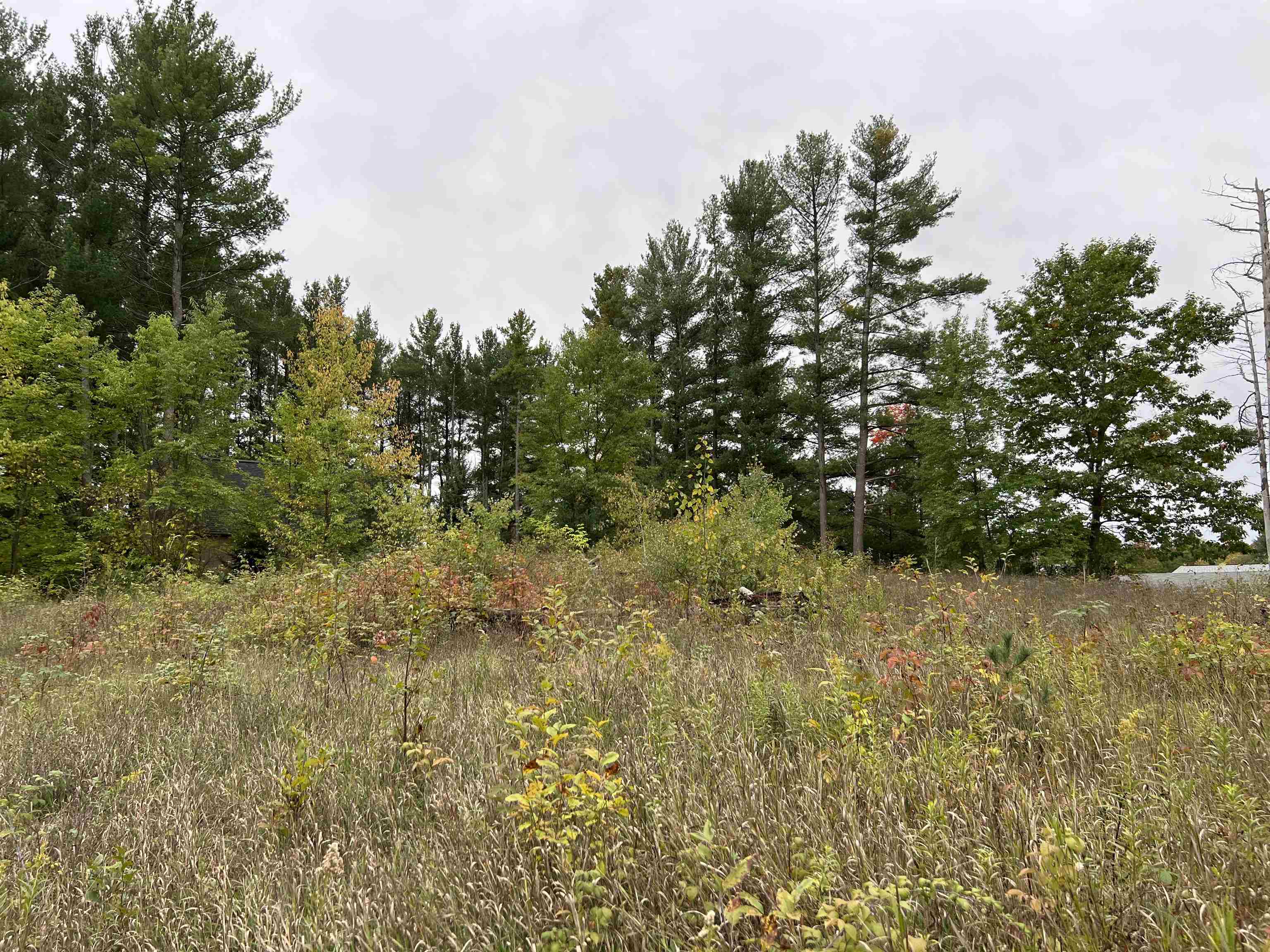 0 Bass Lake Road Traverse City, MI 49685 - Photo 9 of 11 1916755-8.JPG
